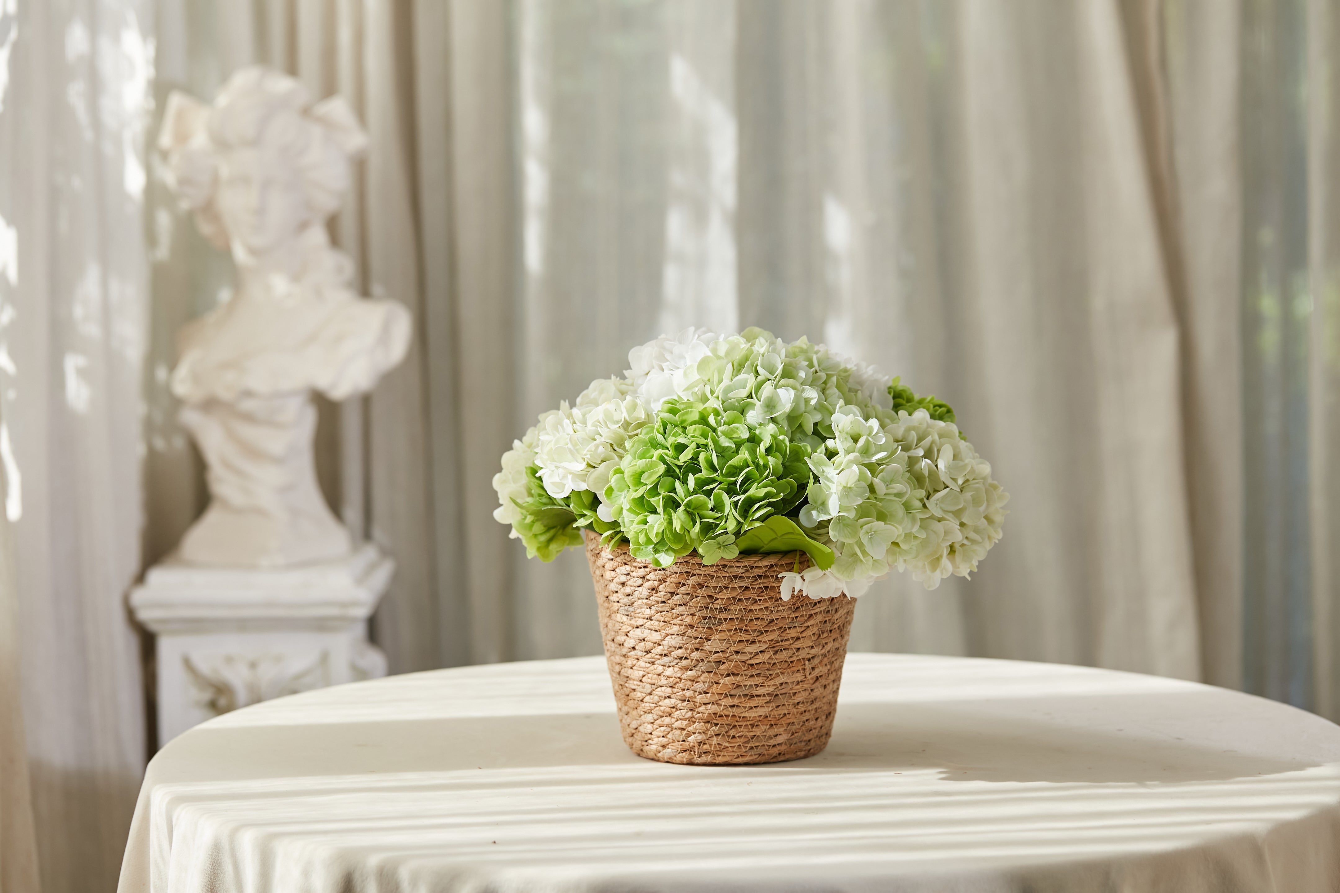 Bountiful Hydrangeas