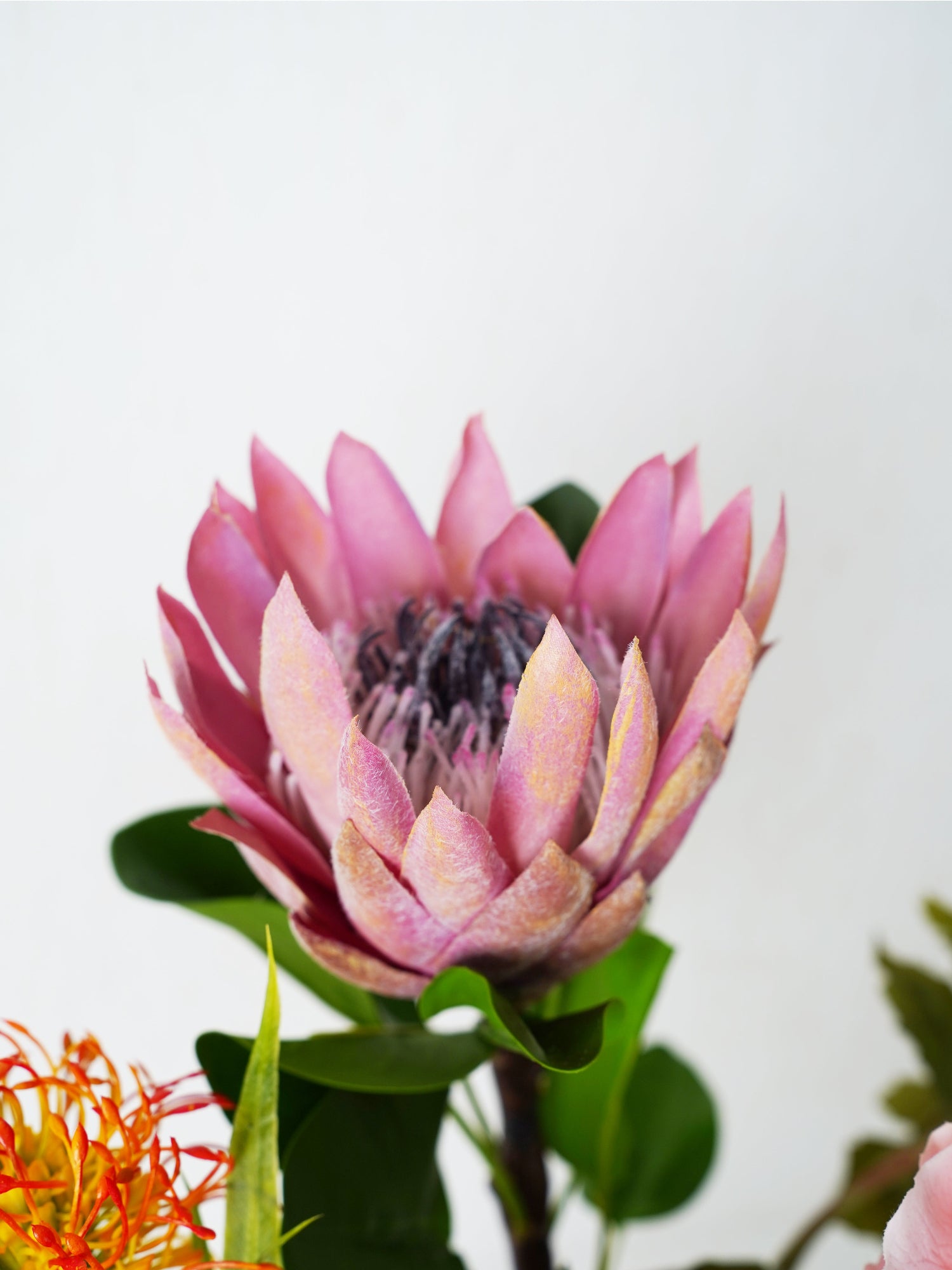 Amaranton™ Autumn Symphony Bouquet