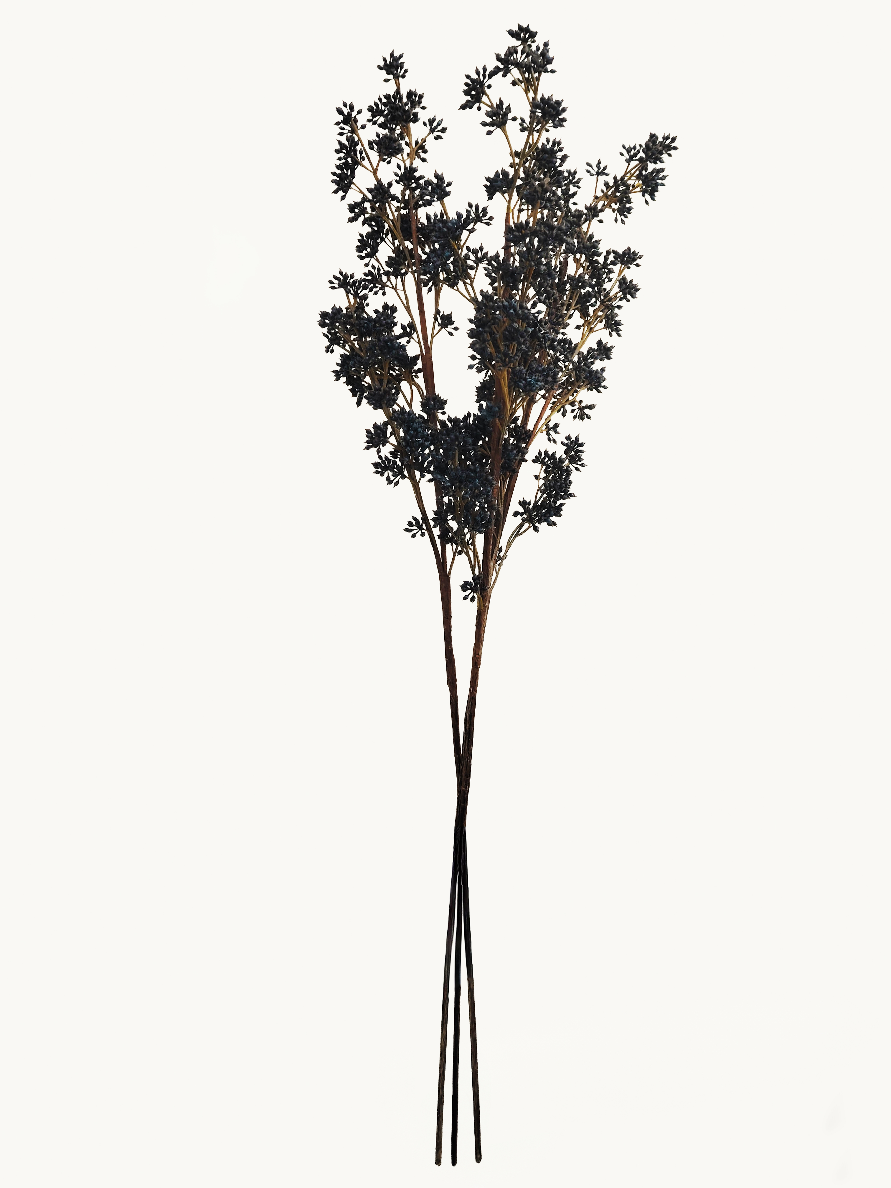 Amaranton 33" Realistic Golden Juice Fruits - Dark Purple
