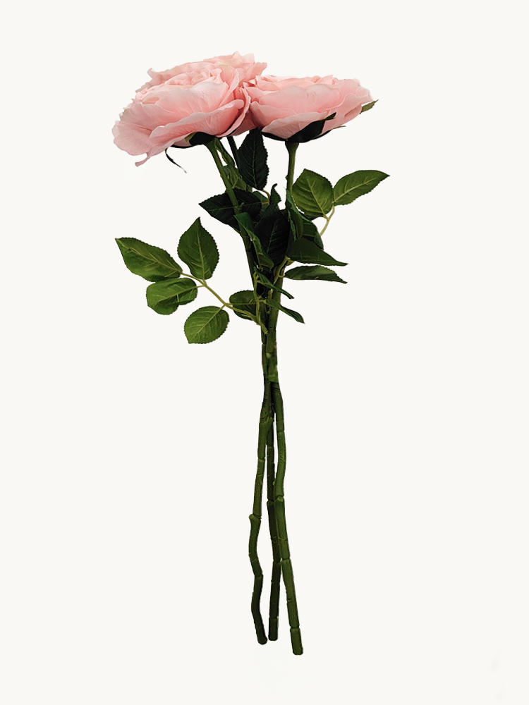 Amaranton 25" Real touch Austin Rose - Peach