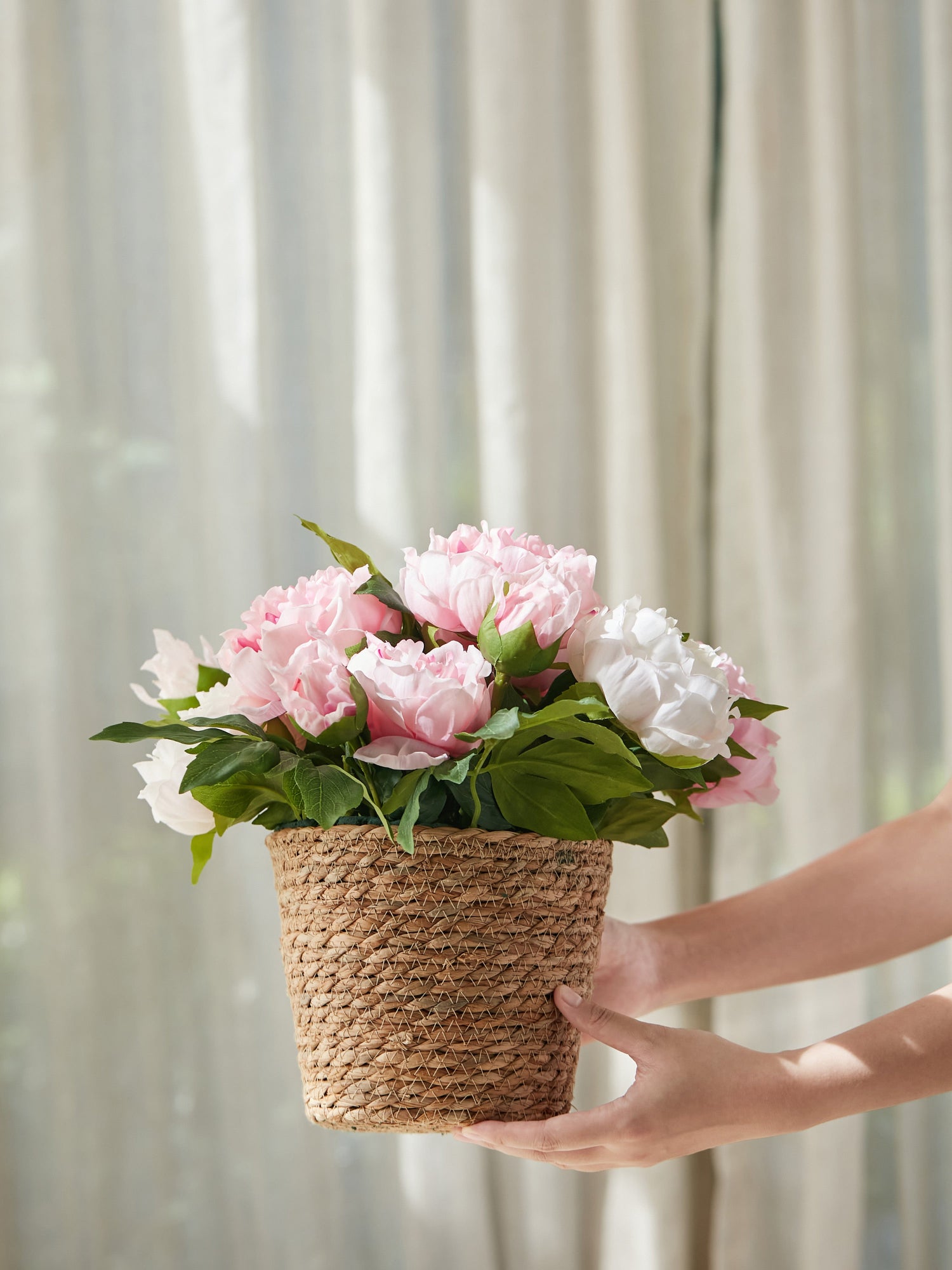 Amaranton™ Whispers of Peonies & Roses