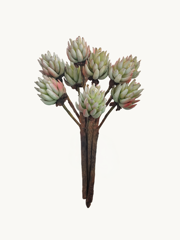 Amaranton 17" Real Touch Succulent - Brownish Green