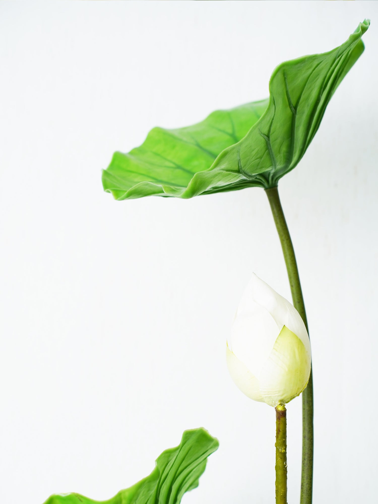 Amaranton™ Purity & Petals Bouquet