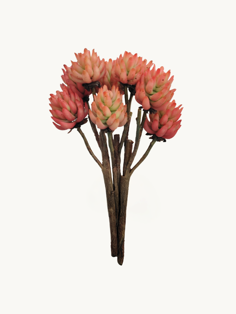 Amaranton 17" Real touch Echeveria Succulent - Brownish Orange