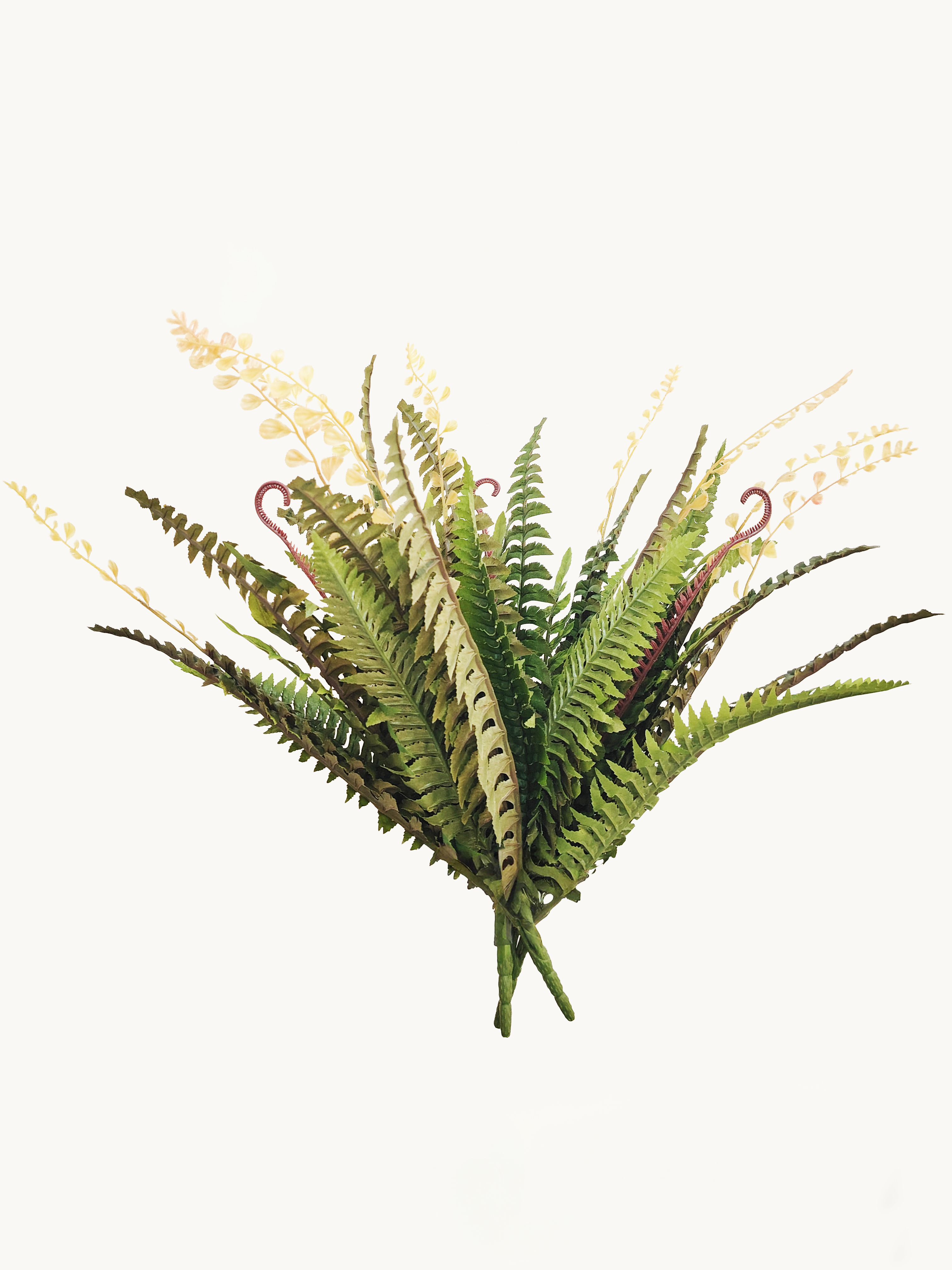 Amaranton 21" Realistic Boston Fern Fronds
