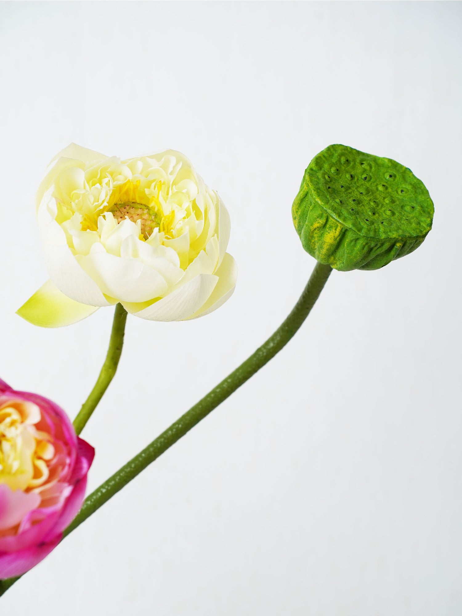 Amaranton™ Lotus Harmony Bouquet