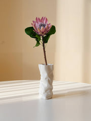 Amaranton 26" Protea realista rosa rey - Flor