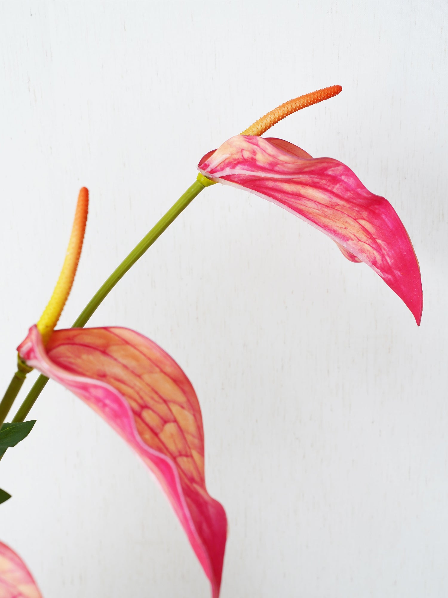 Amaranton™ Blush & Flame Bouquet