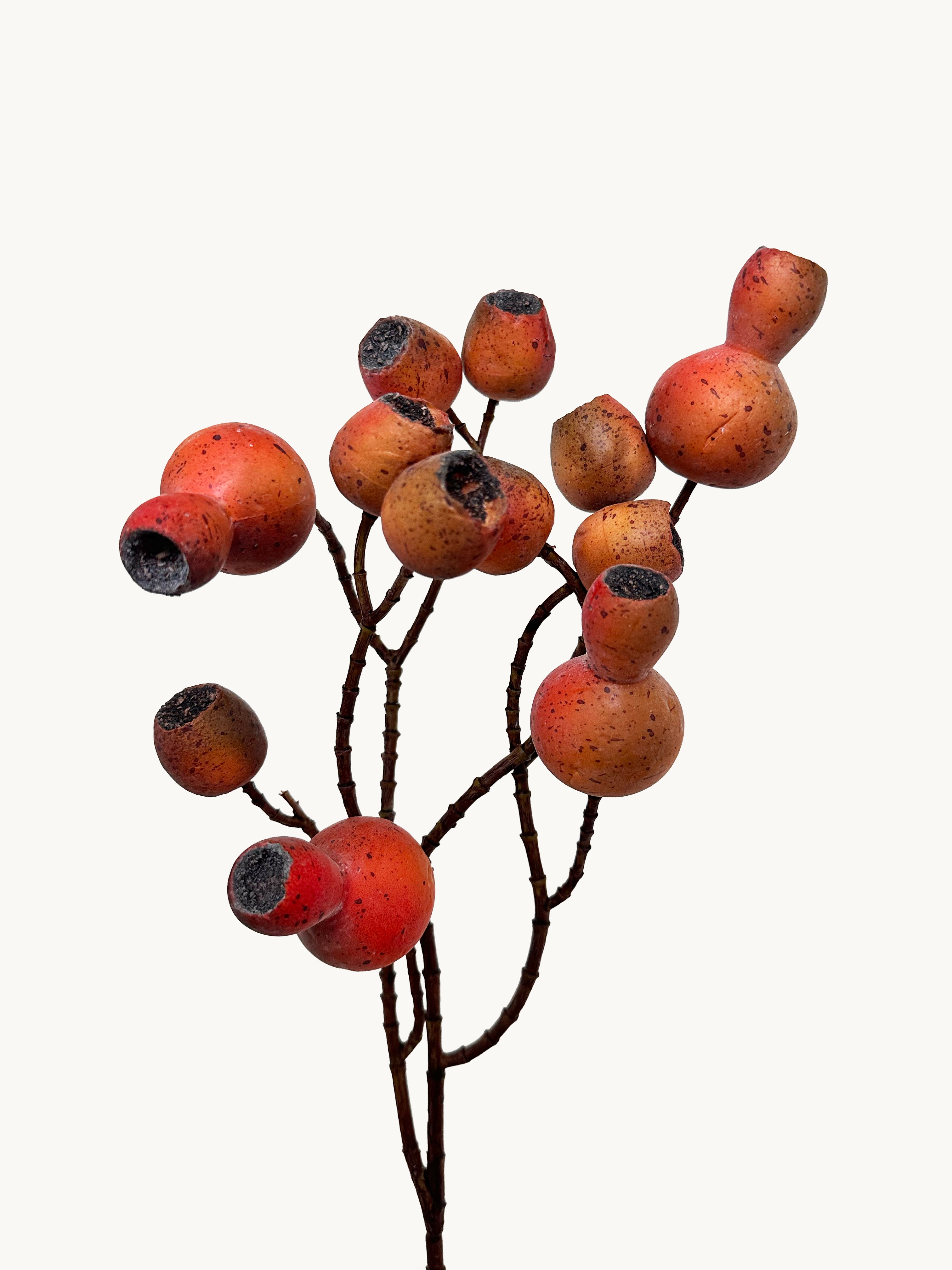 Macar Big Branch with Pipe Fruit - Red
