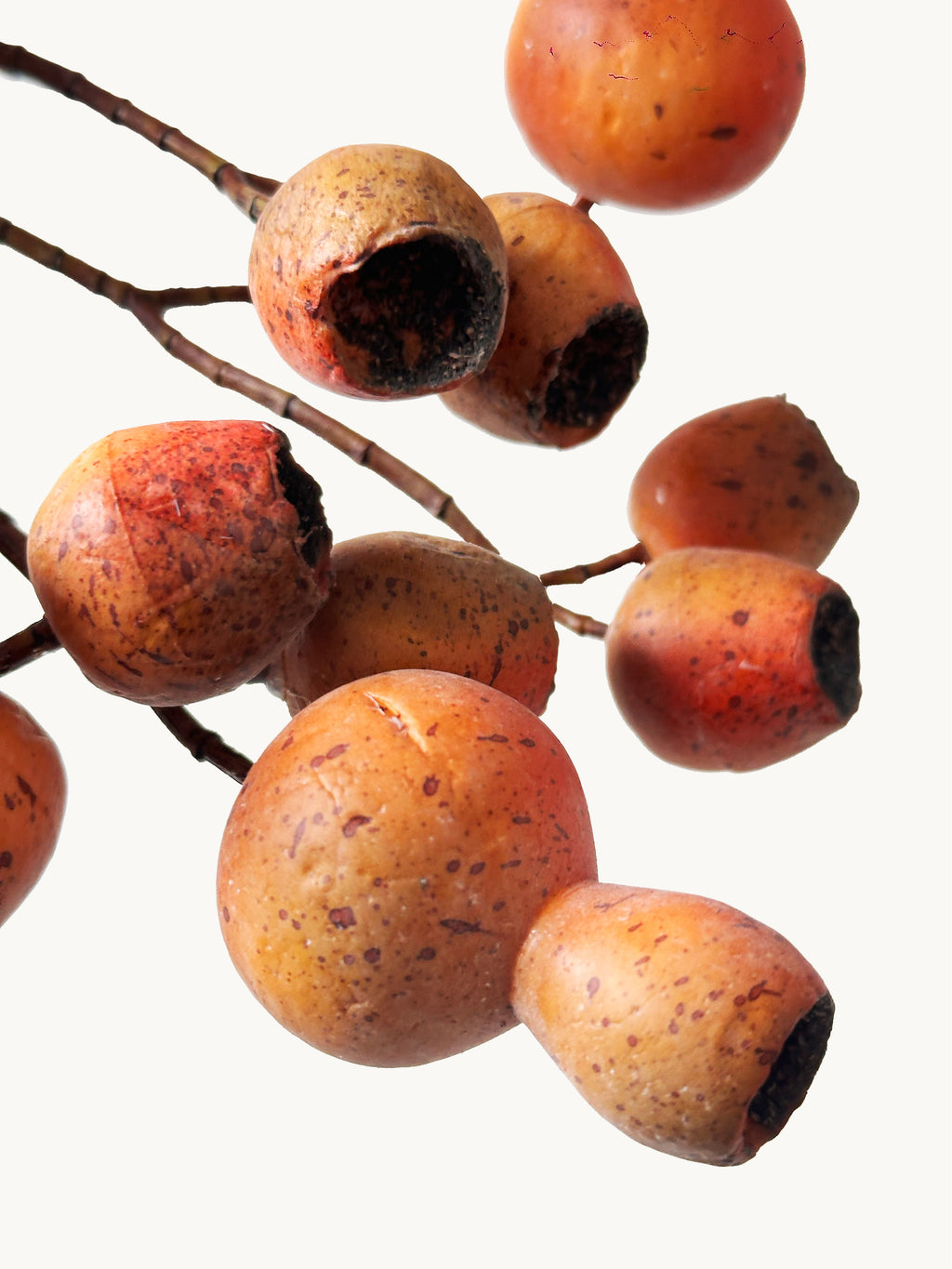 Macar Big Branch with Pipe Fruit - Red