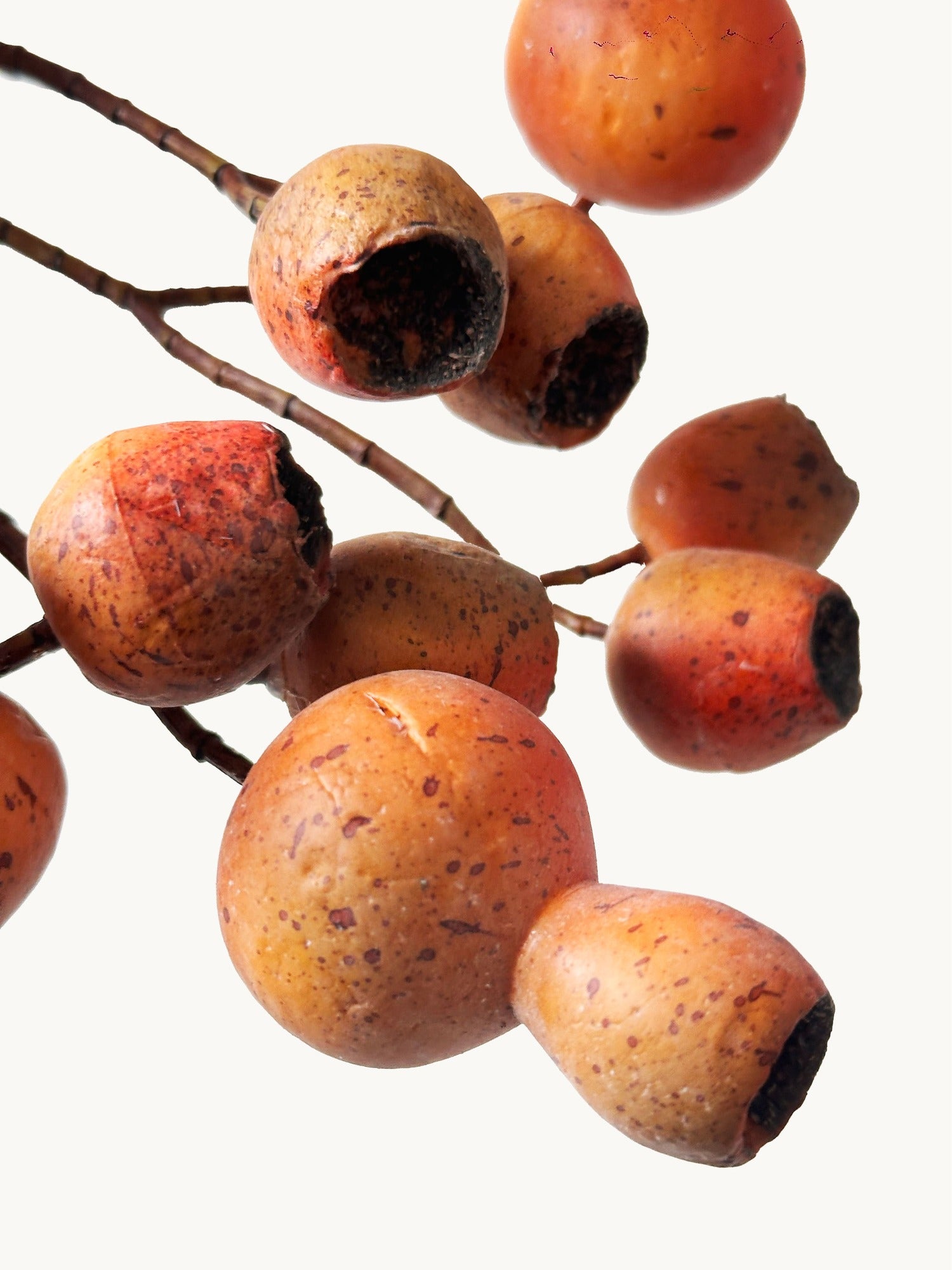 Amaranton - Pipa realista de frutas de 24" - Color óxido