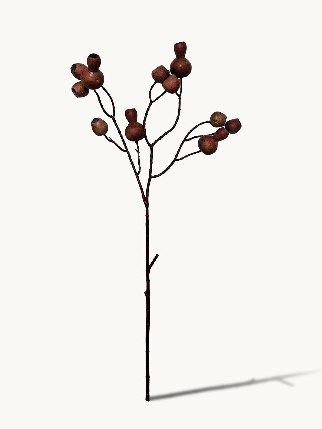 Macar Big Branch with Pipe Fruit - Brown