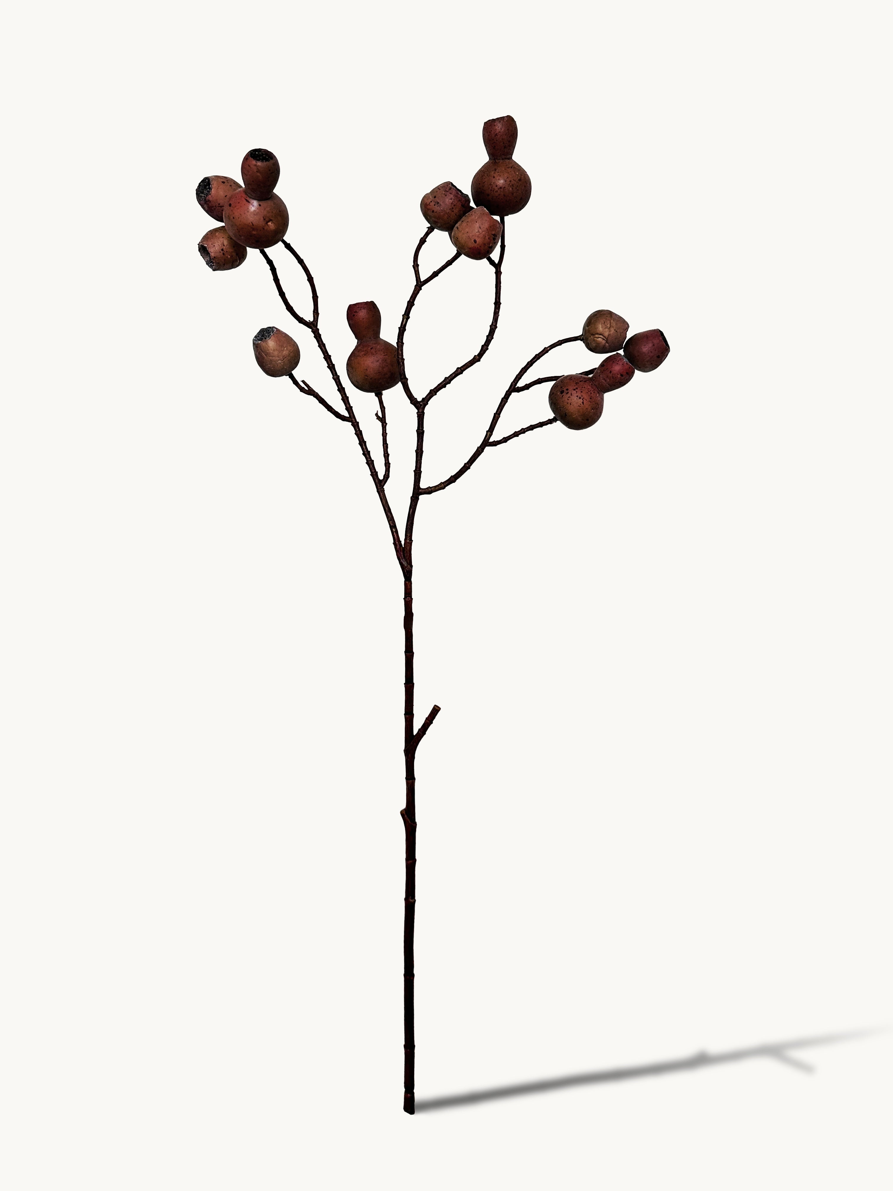 Macar Big Branch with Pipe Fruit - Brown