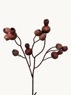 Macar Big Branch with Pipe Fruit - Brown