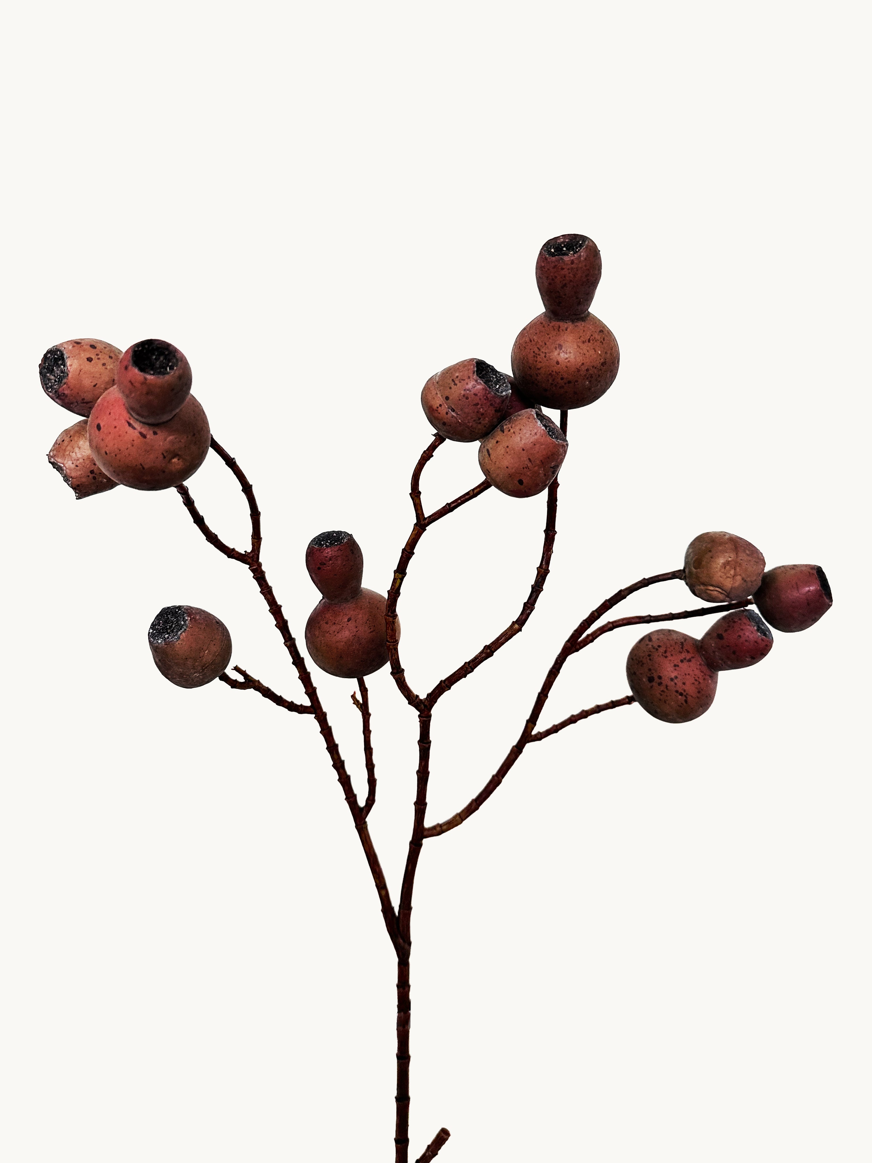 Macar Big Branch with Pipe Fruit - Brown