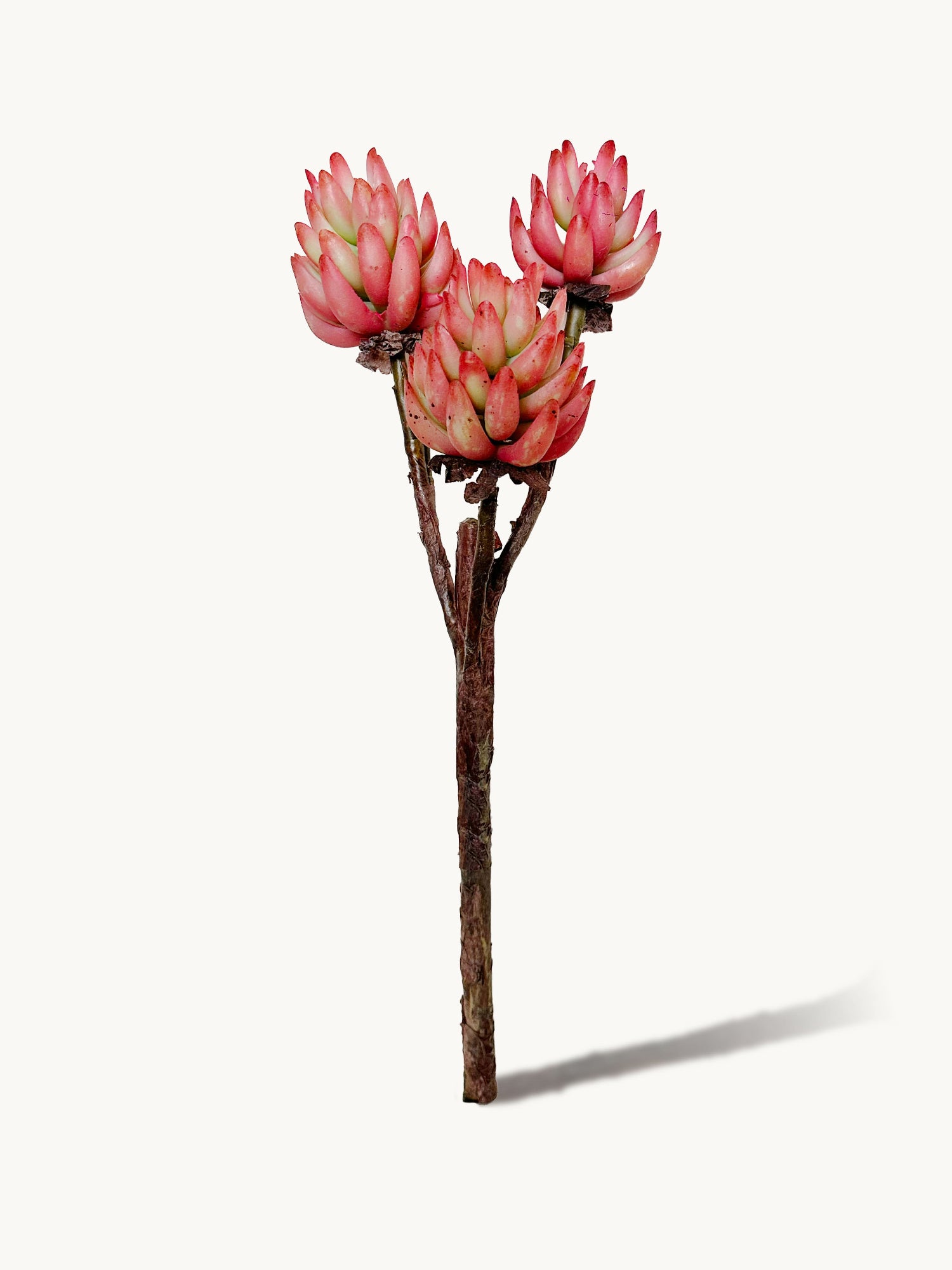 Amaranton™ 17" RealTouch™ 3 - Headed Succulent - Brownish Orange