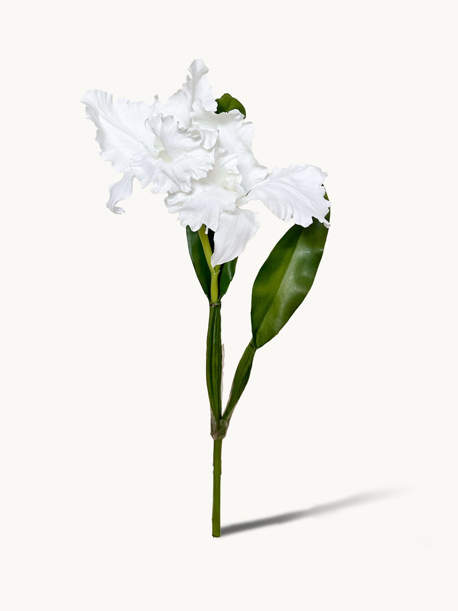 Amaranton™ 18" Artificial 2 - Growth Cattleya - White