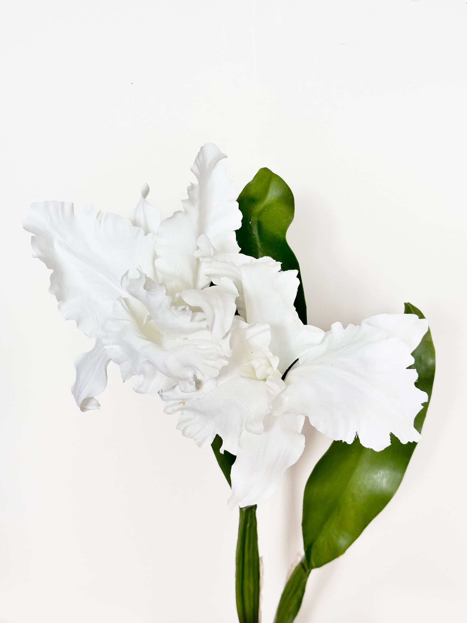 Amaranton™ 18" Artificial 2 - Growth Cattleya - White