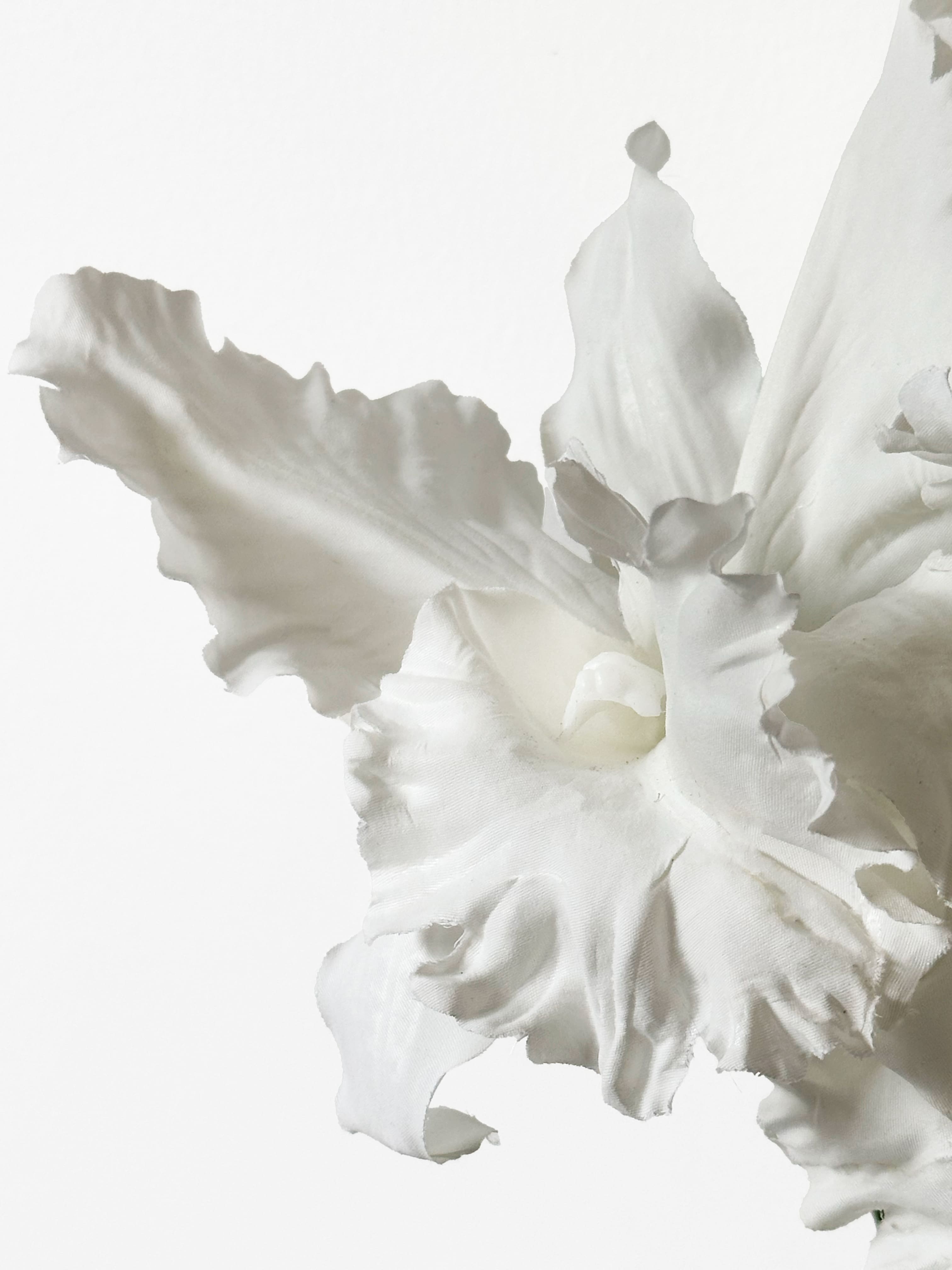 Amaranton™ 18" Artificial 2 - Growth Cattleya - White