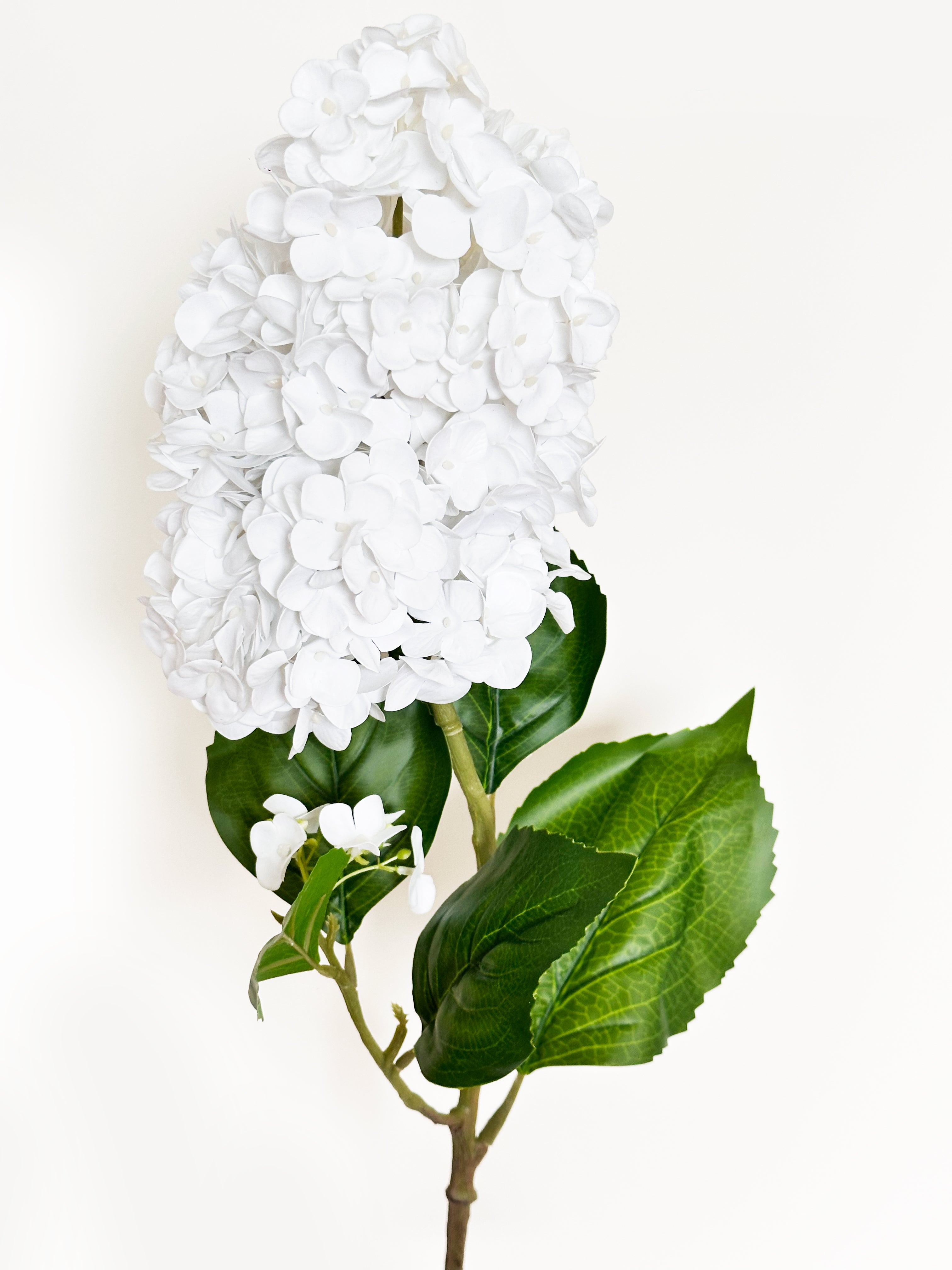 Irish Single-stem Pagoda Hydrangea