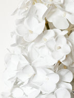 Irish Single-stem Pagoda Hydrangea