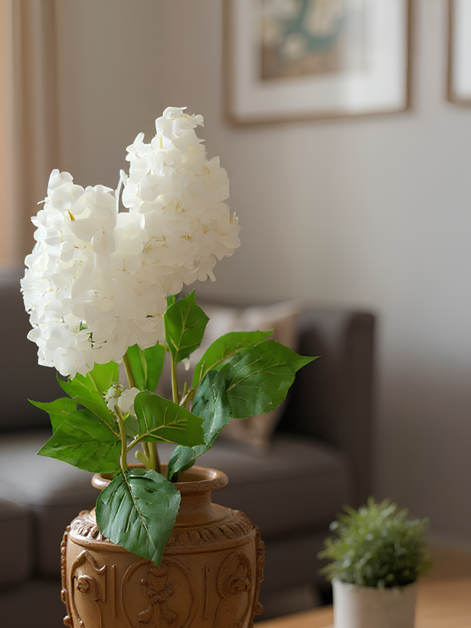 Irish Single-stem Pagoda Hydrangea