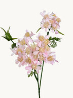 Velvety 34-inch Lace Flowers
