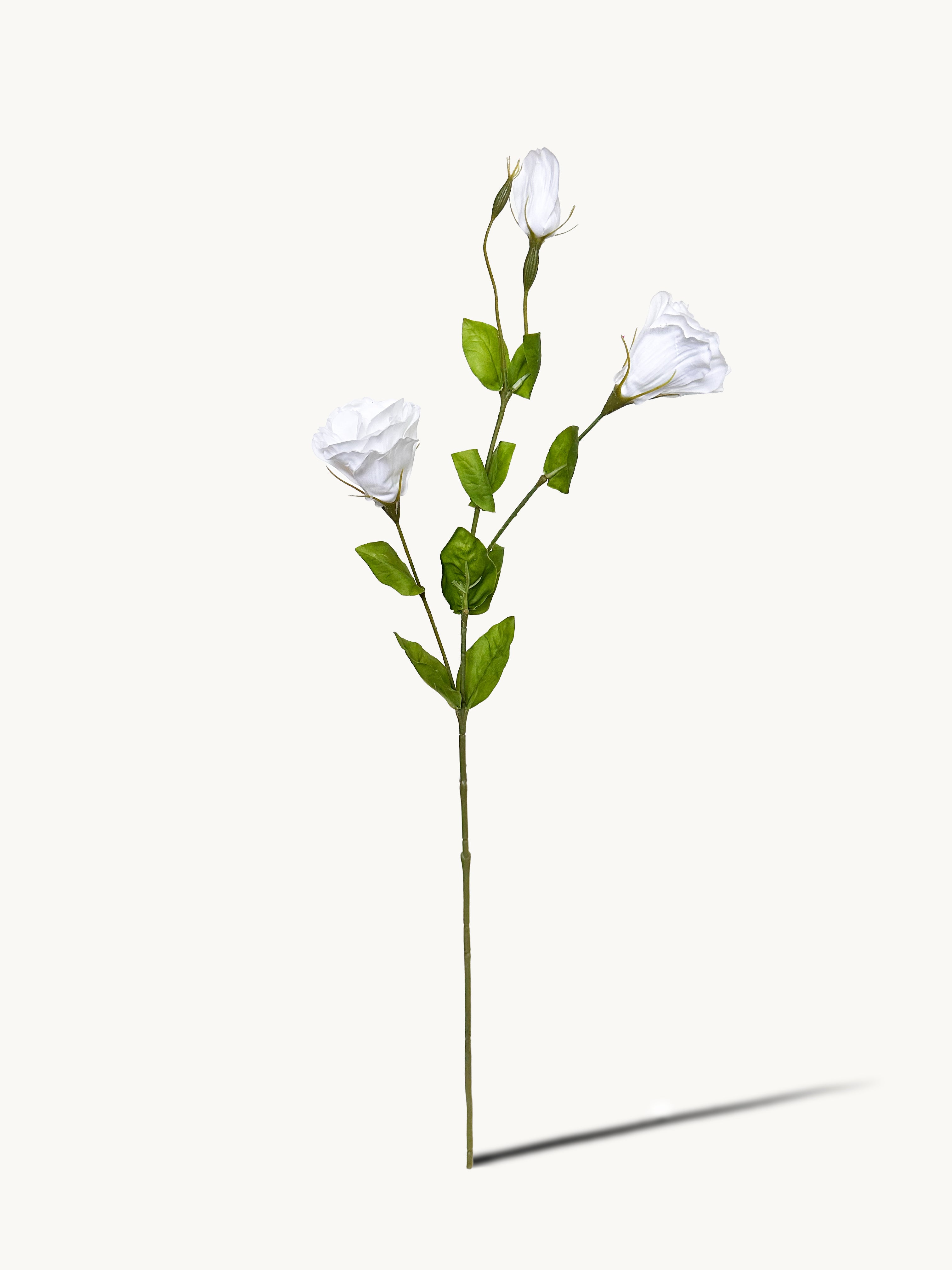 Amaranton 28" Real touch 3 - Bloom Balloon Flower - White