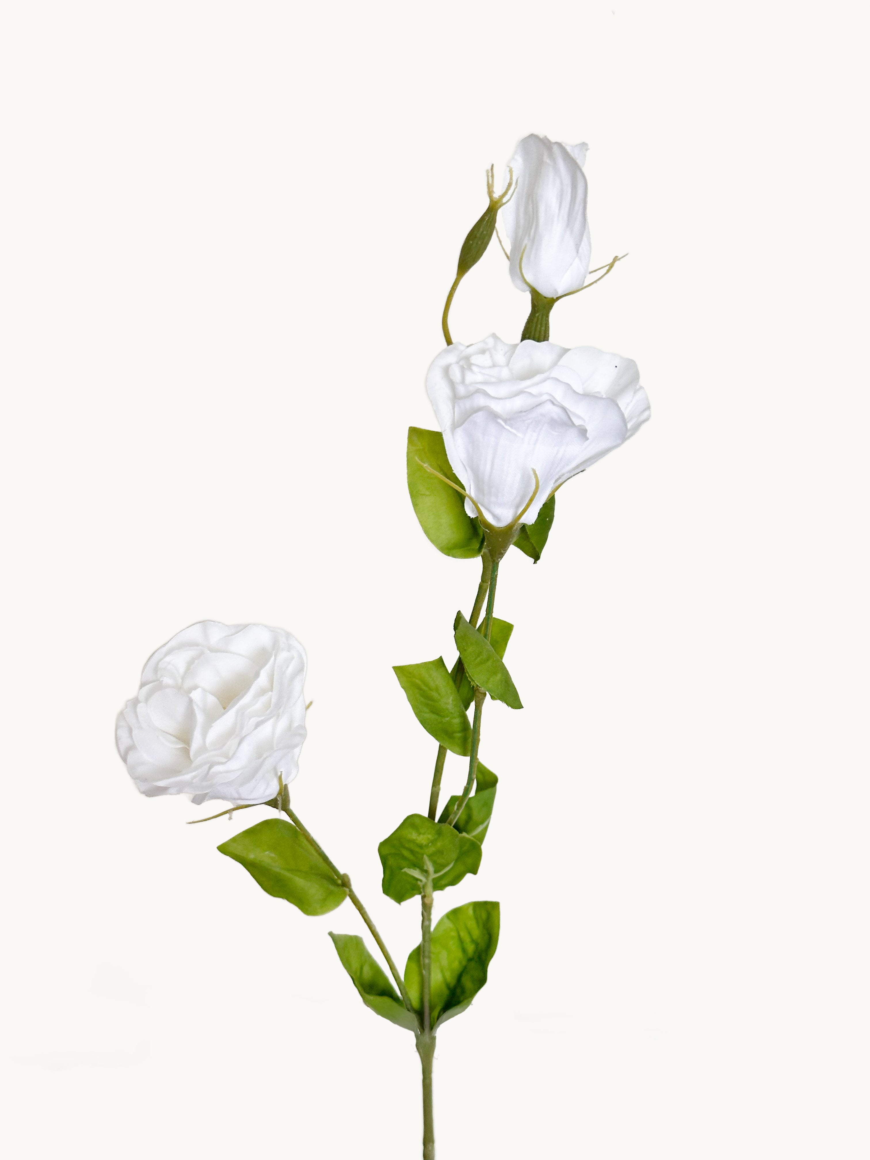 Amaranton 28" Real touch 3 - Bloom Balloon Flower - White