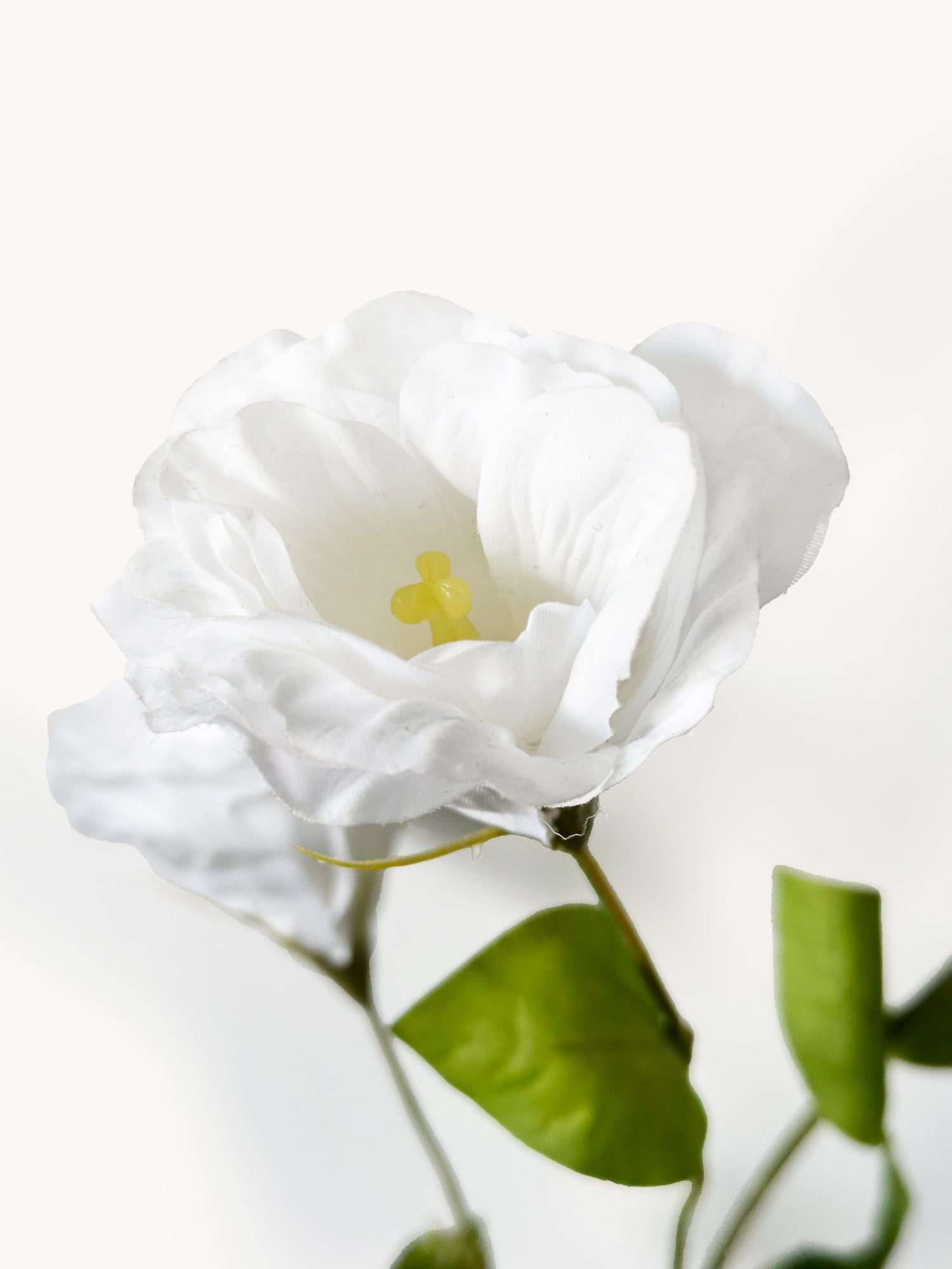 Amaranton 28" Real touch 3 - Flor de globo Bloom - Blanco