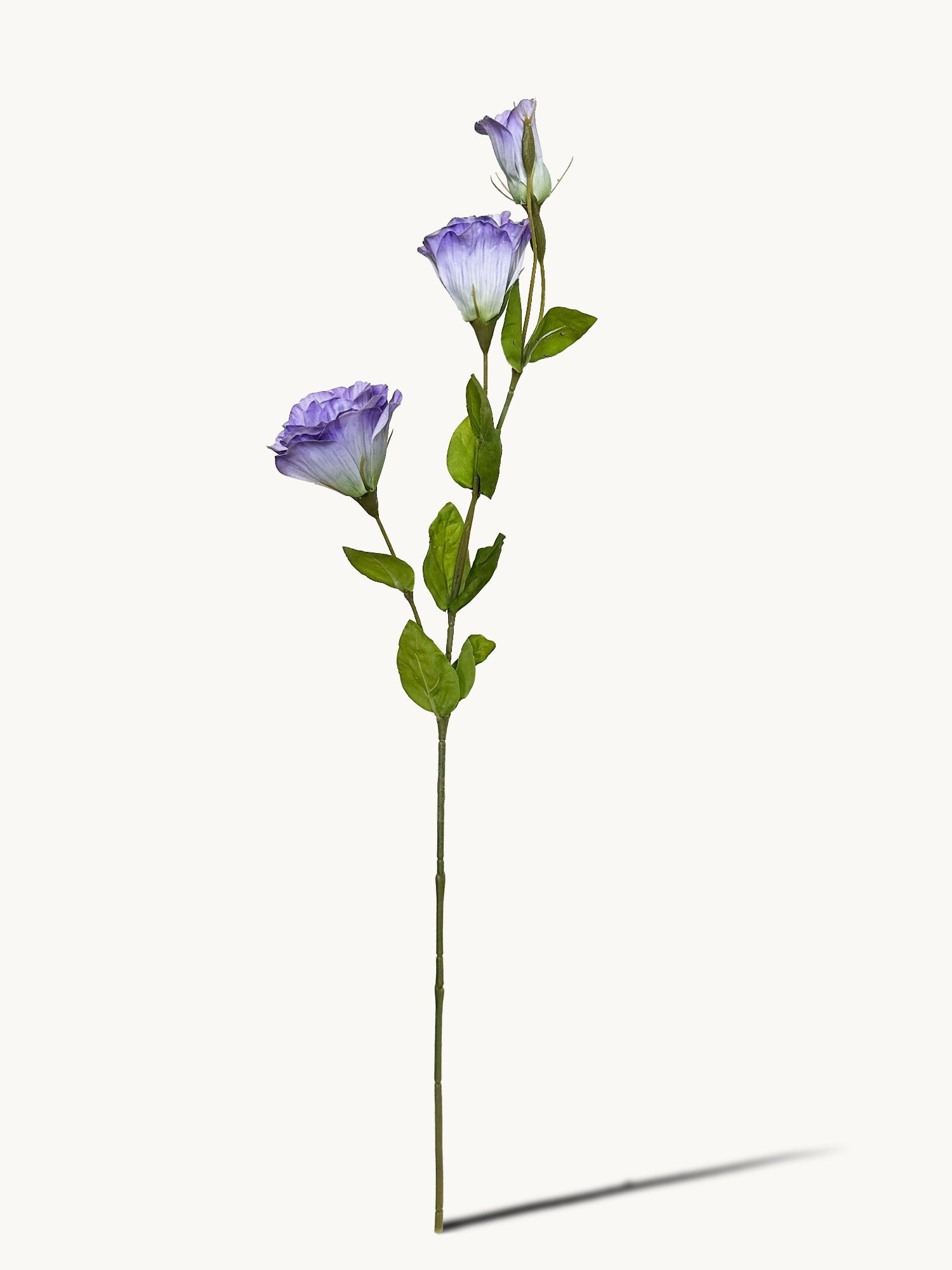 Amaranton 28" Real touch 3 - Flor de globo Bloom - Morado