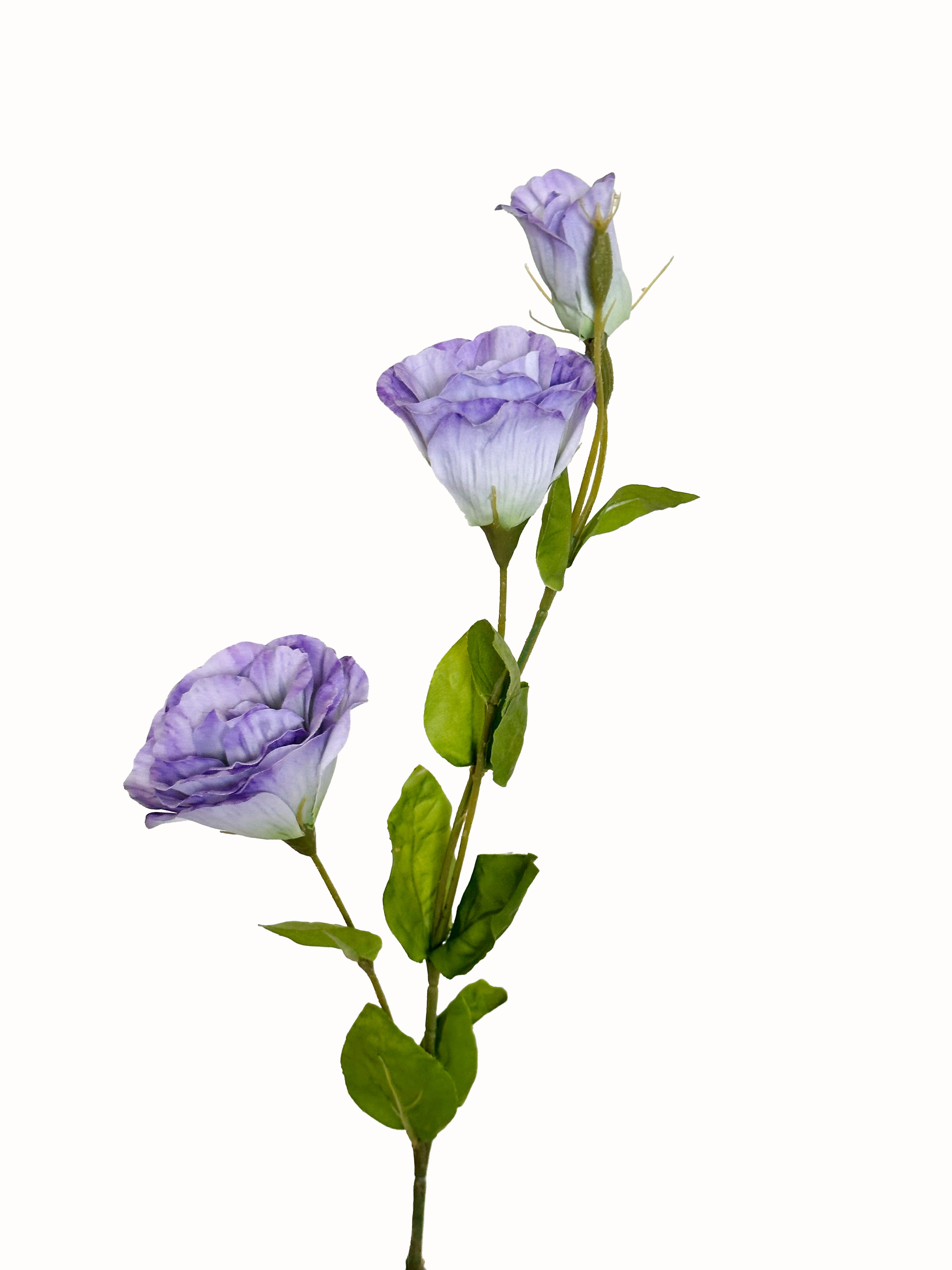 Amaranton 28" Real touch 3 - Bloom Balloon Flower - Purple