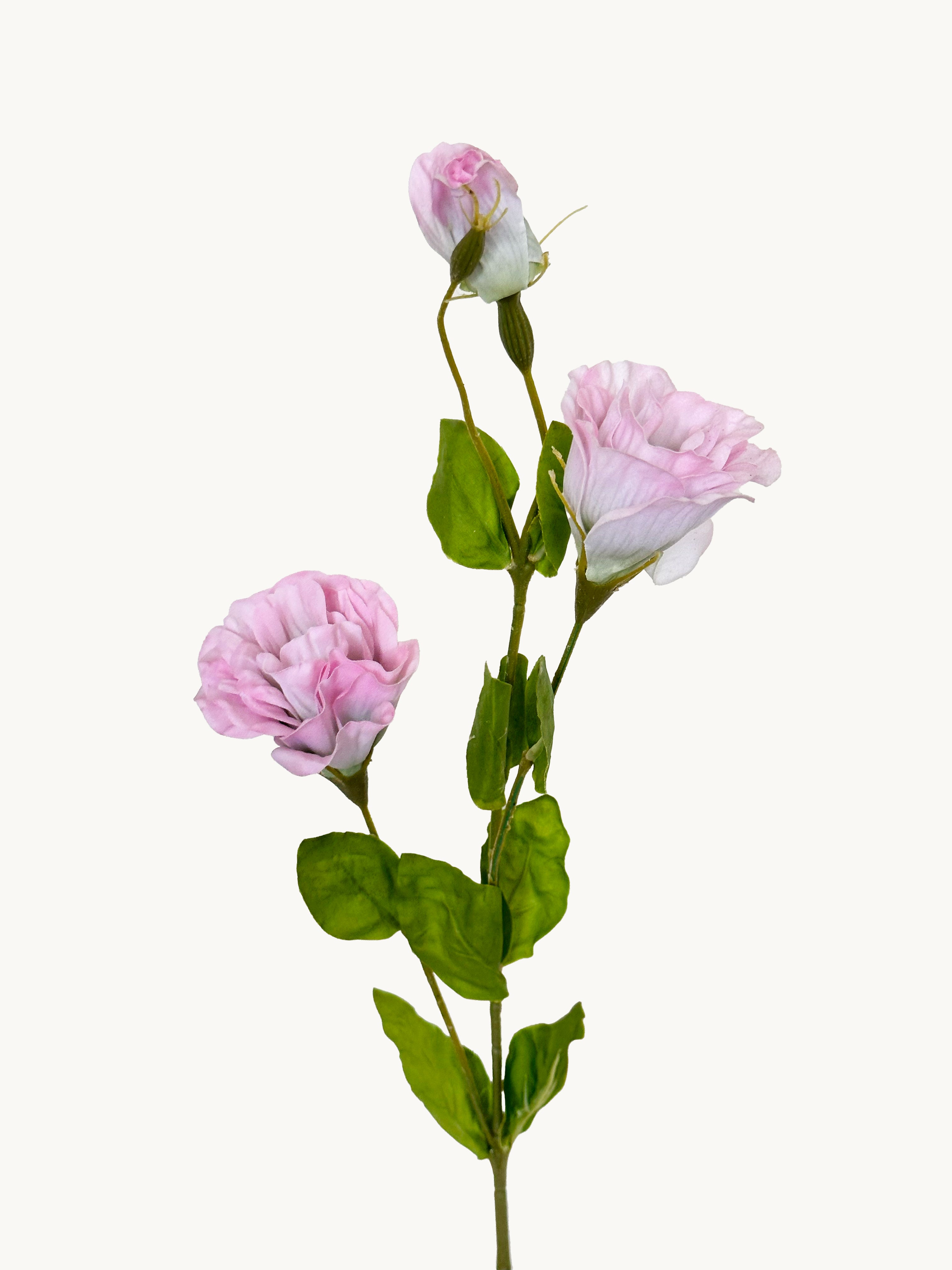 Amaranton 28" Real touch Balloon Flower - Pinkish Purple