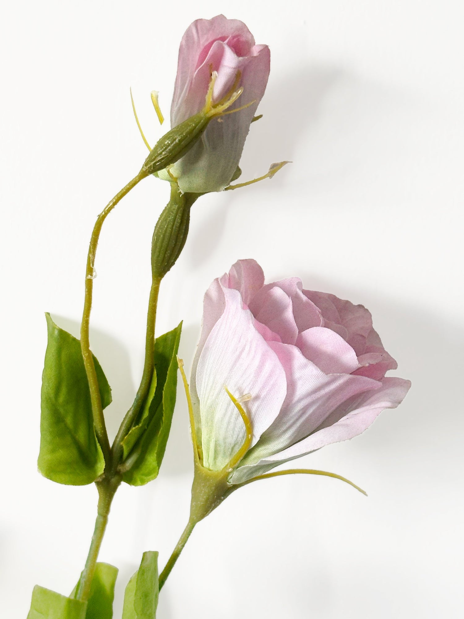 Amaranton - Globo flor de tacto real de 28" - Morado rosado