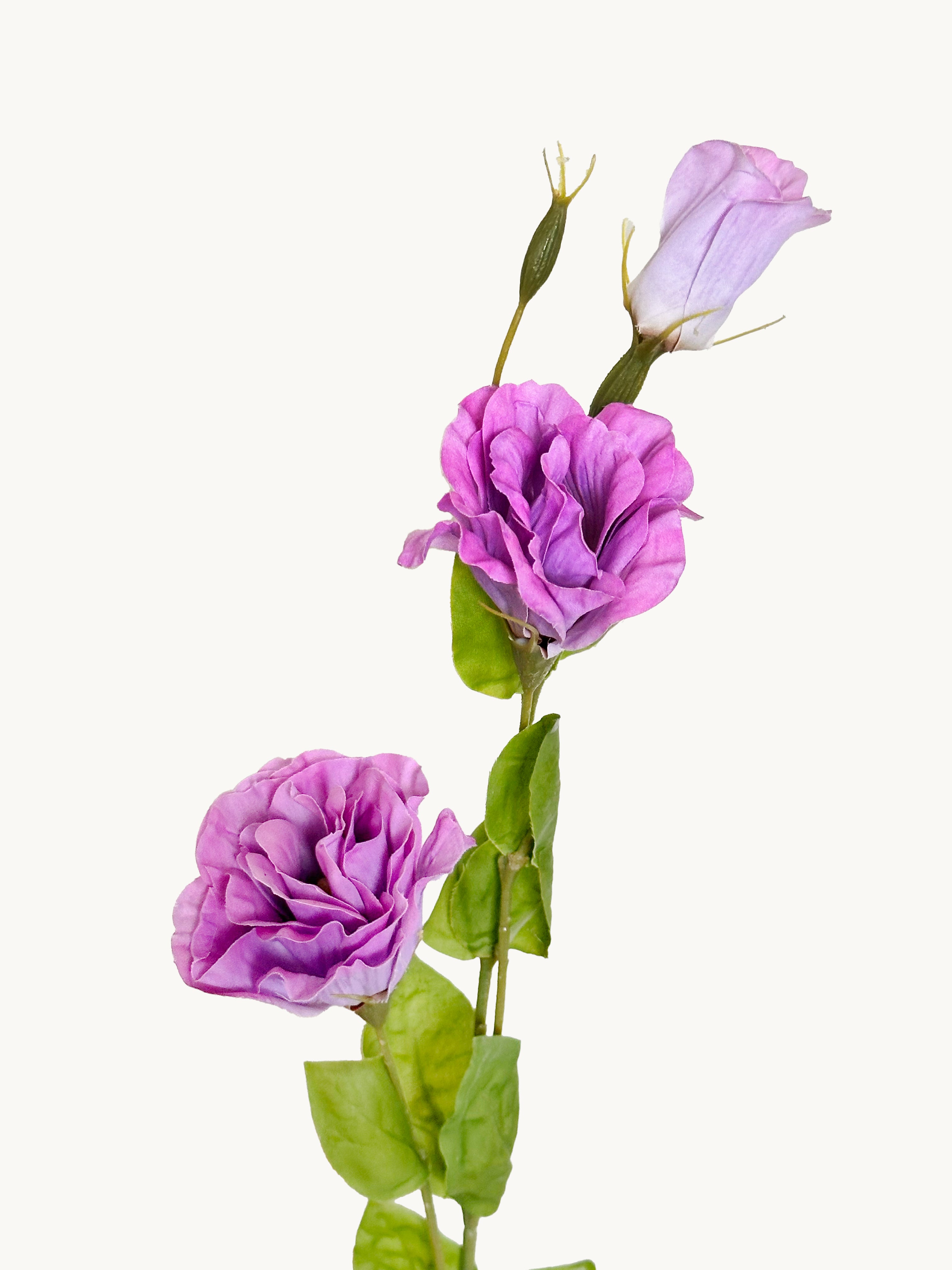 Amaranton 28" Real touch Balloon Flower - Reddish Purple