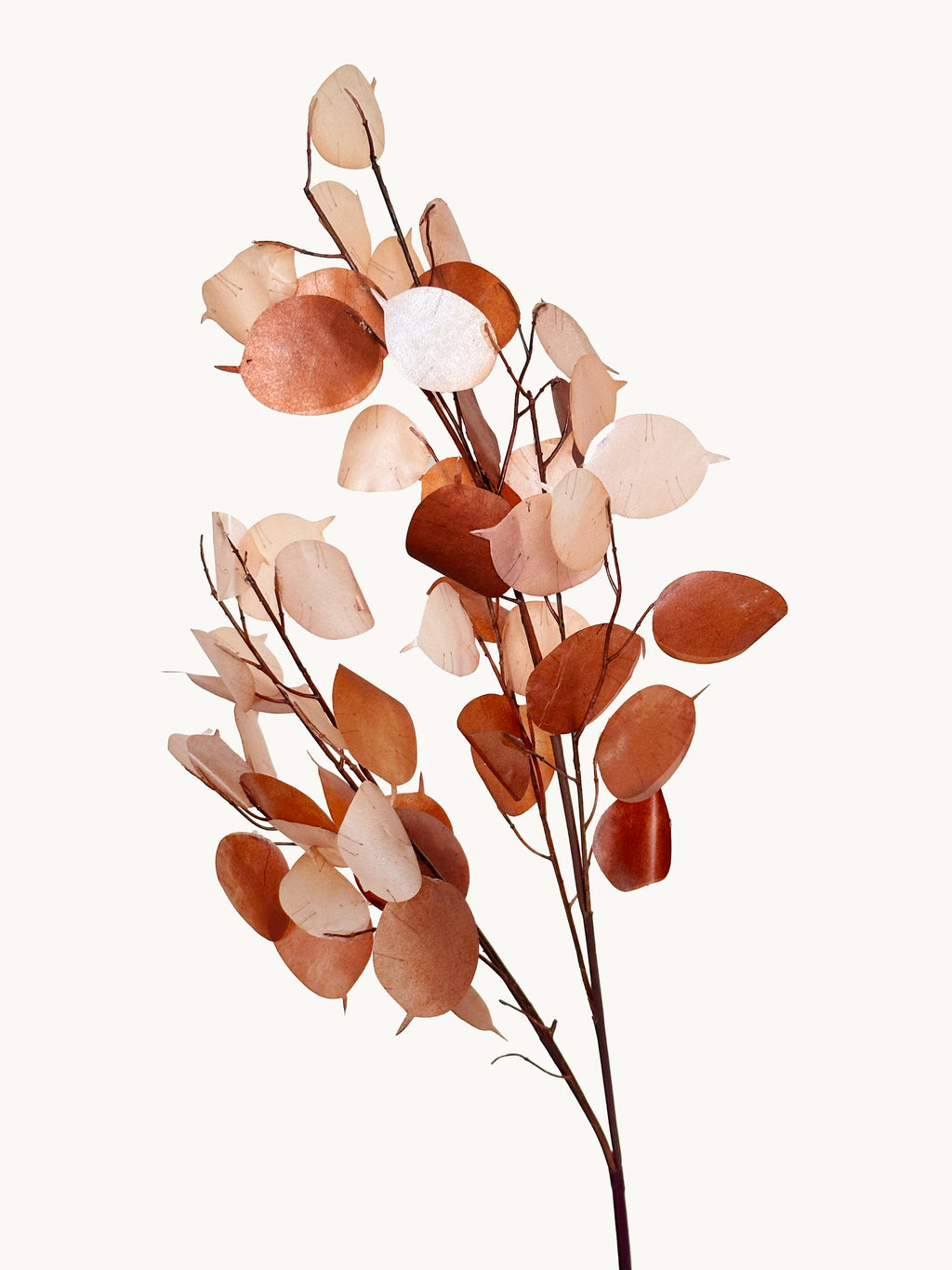 Amaranton 37" Artificial Silver Fan Leaf - Brown