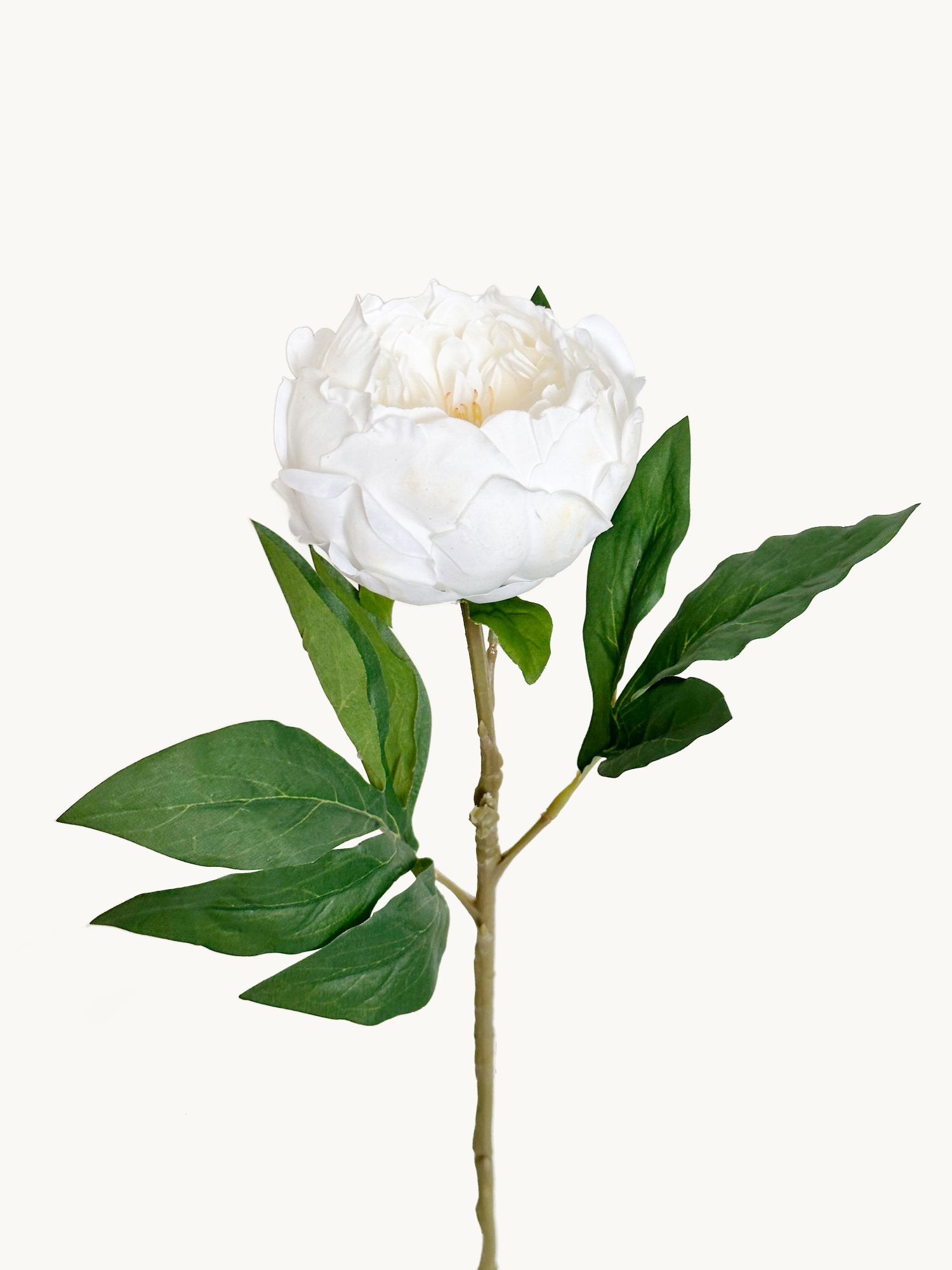 Peonía Amaranton de 23" con tacto real - Blanca