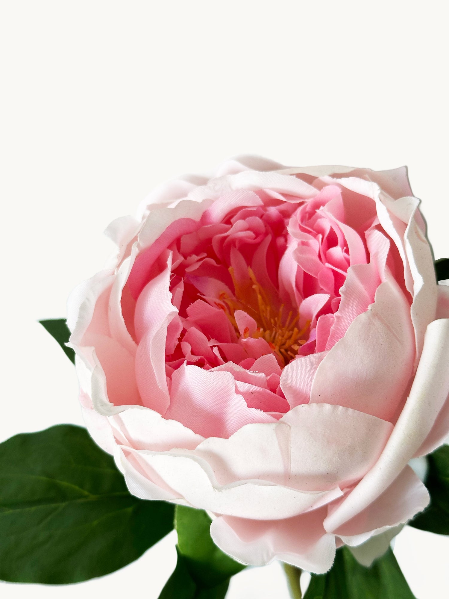Amaranton™ 23" RealTouch™ Peony - Pink