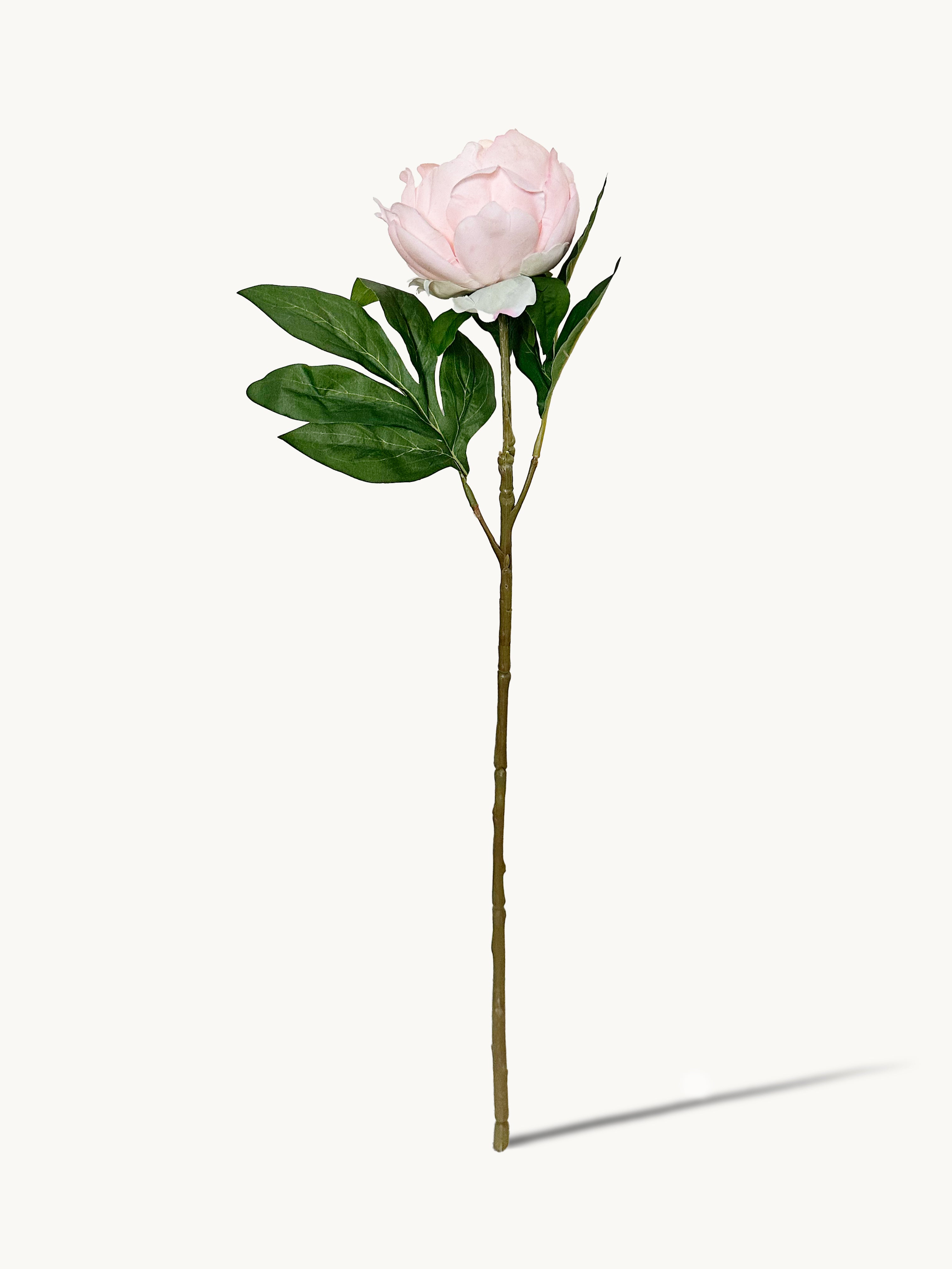 Ultra-Realistic Peony Stem with Dewy Finish - Pink