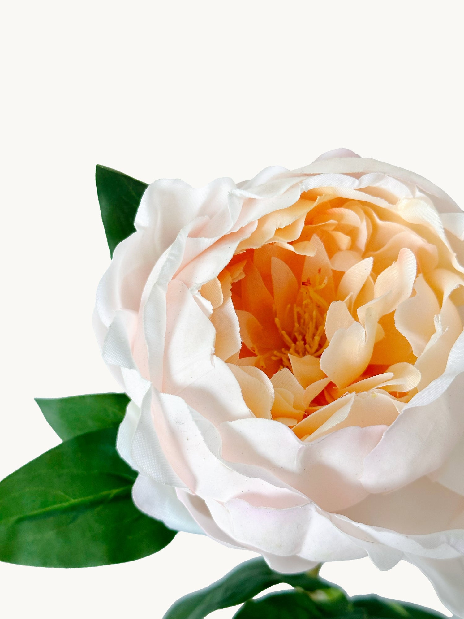 Amaranton™ 23" RealTouch™ Elegance Peony - Champagne