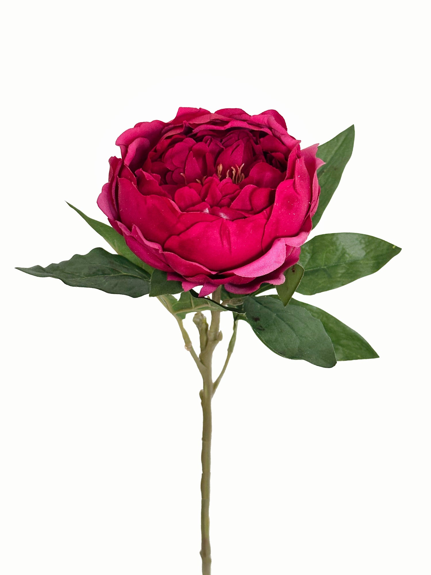 Amaranton™ 23" RealTouch™ Peony - Red