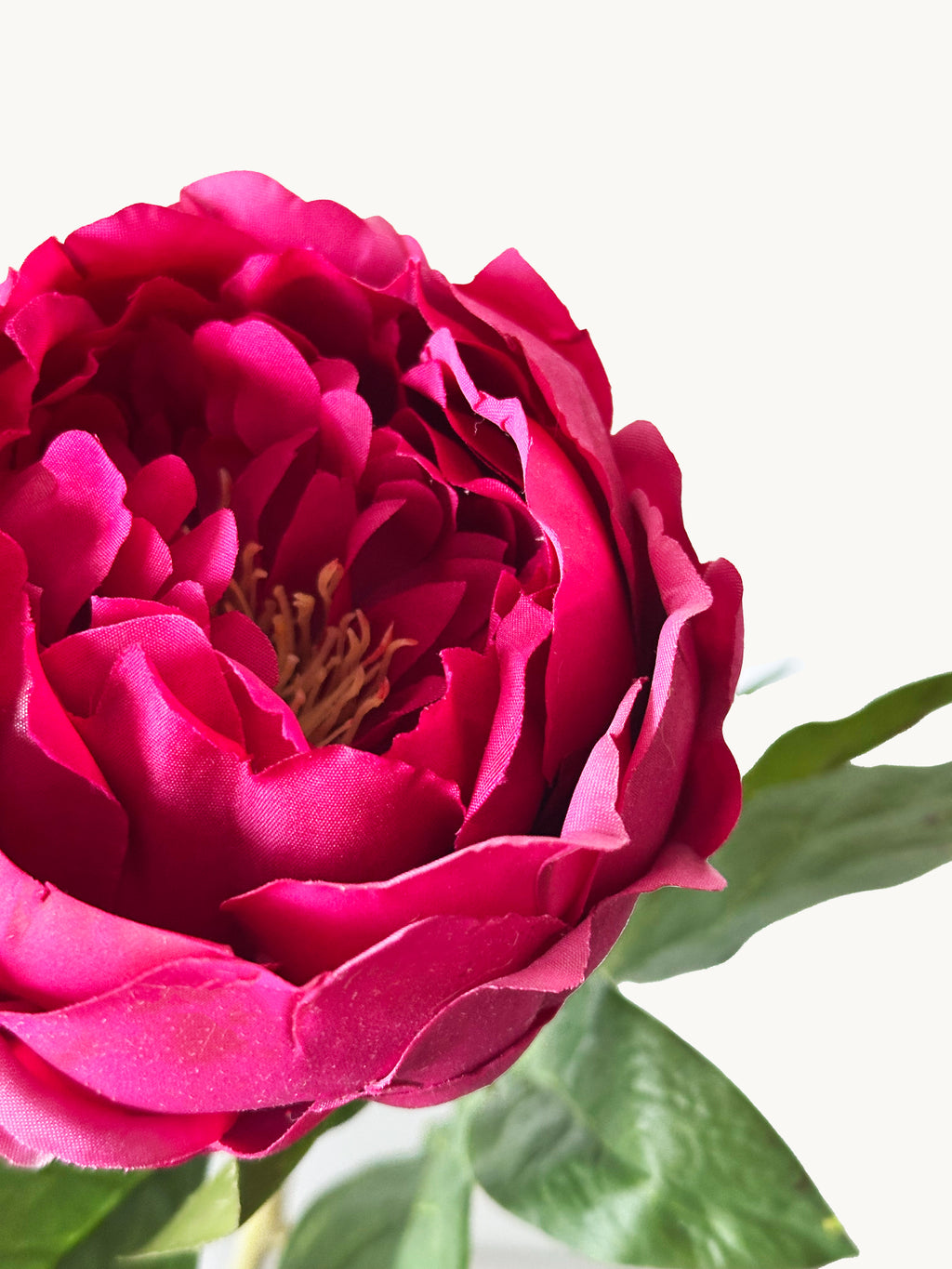 Dark Fragrance Series Wealthy Peony (Rose Red)