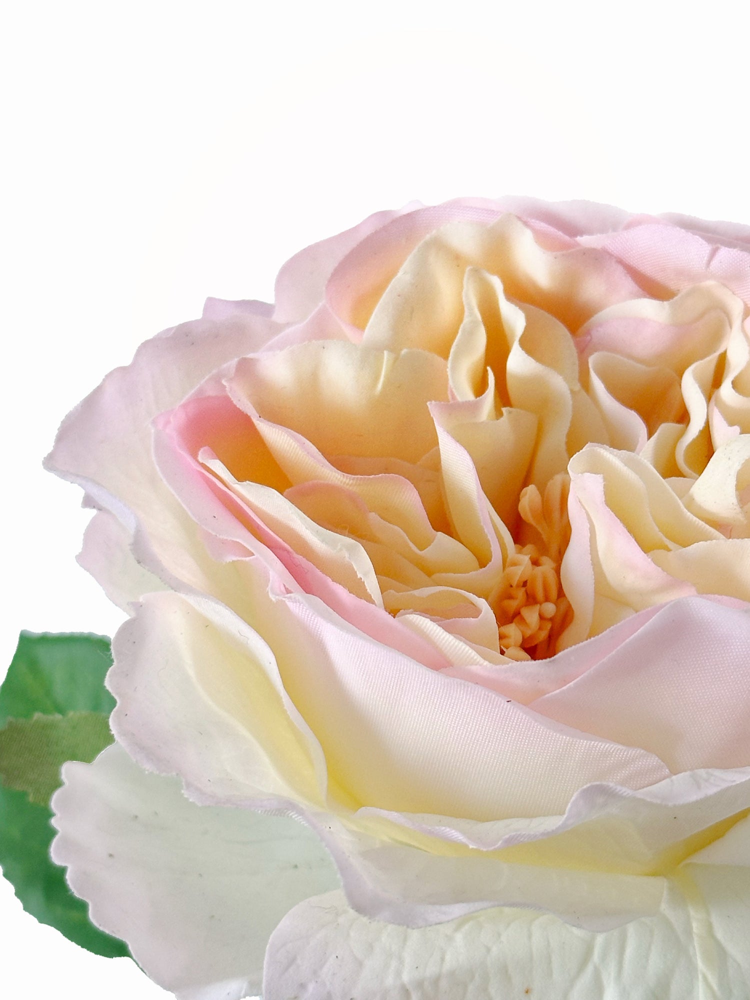 Amaranton™ 25" RealTouch™ Austin Rose - Salmon Pink