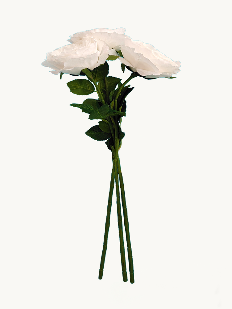 Amaranton 25" Real Touch Peony - White