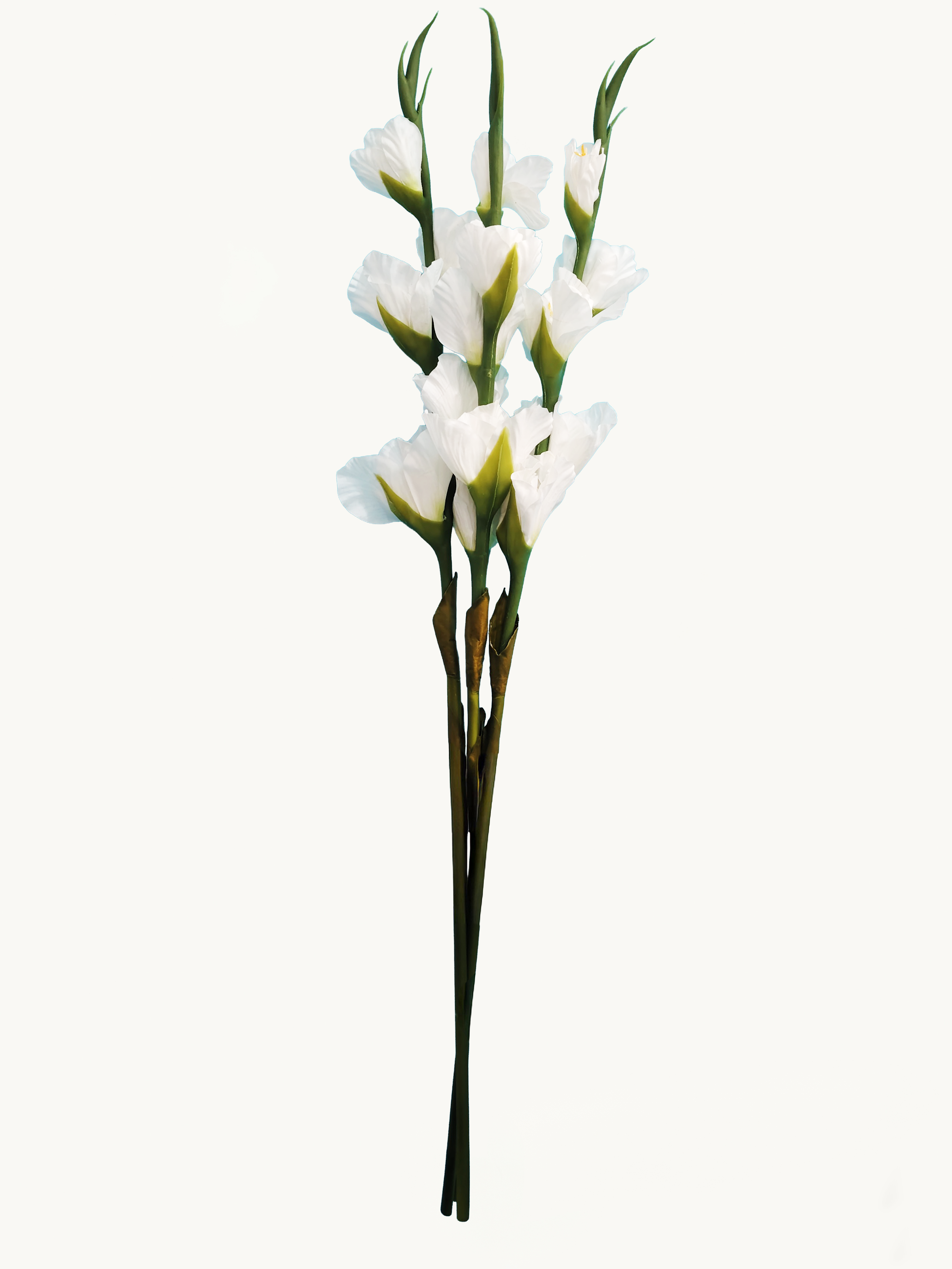 Amaranton 34" Real touch 5 - Bloom Gladiolus - White