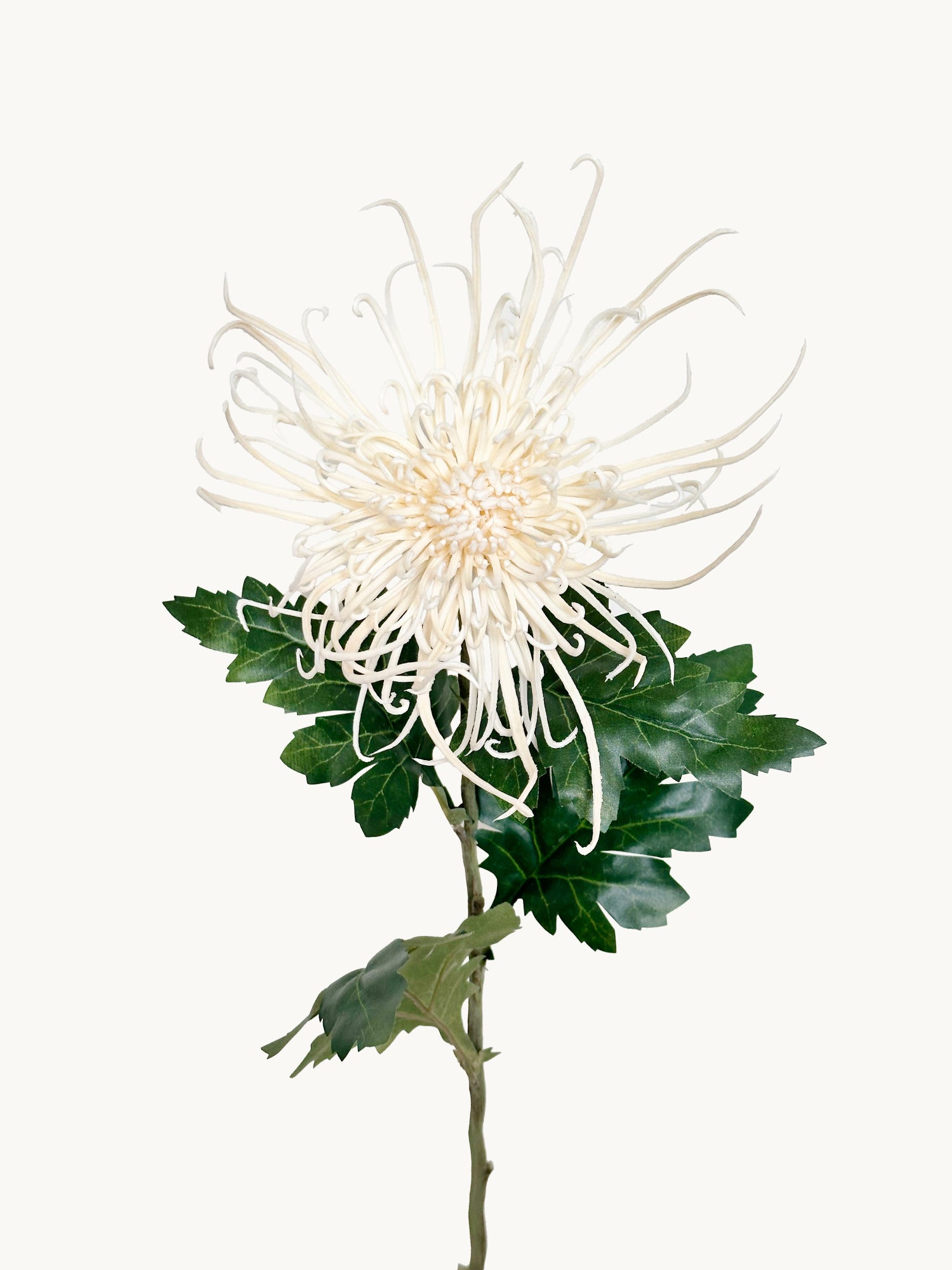 Crisantemo realista de 30" con forma de árboles ardientes - Blanco