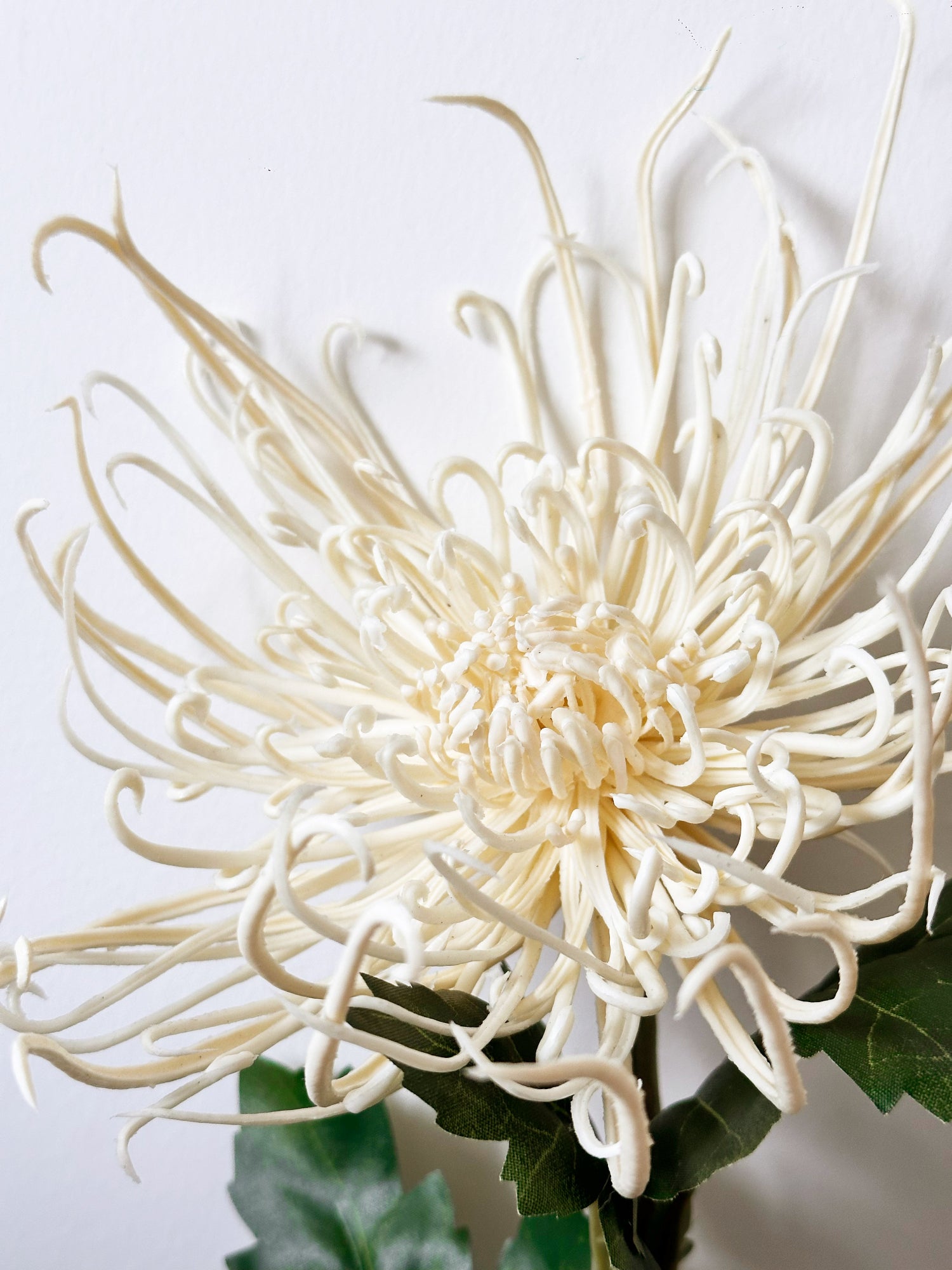 30" Realistica™ Chrysanthemum shaped like Fiery Trees - White