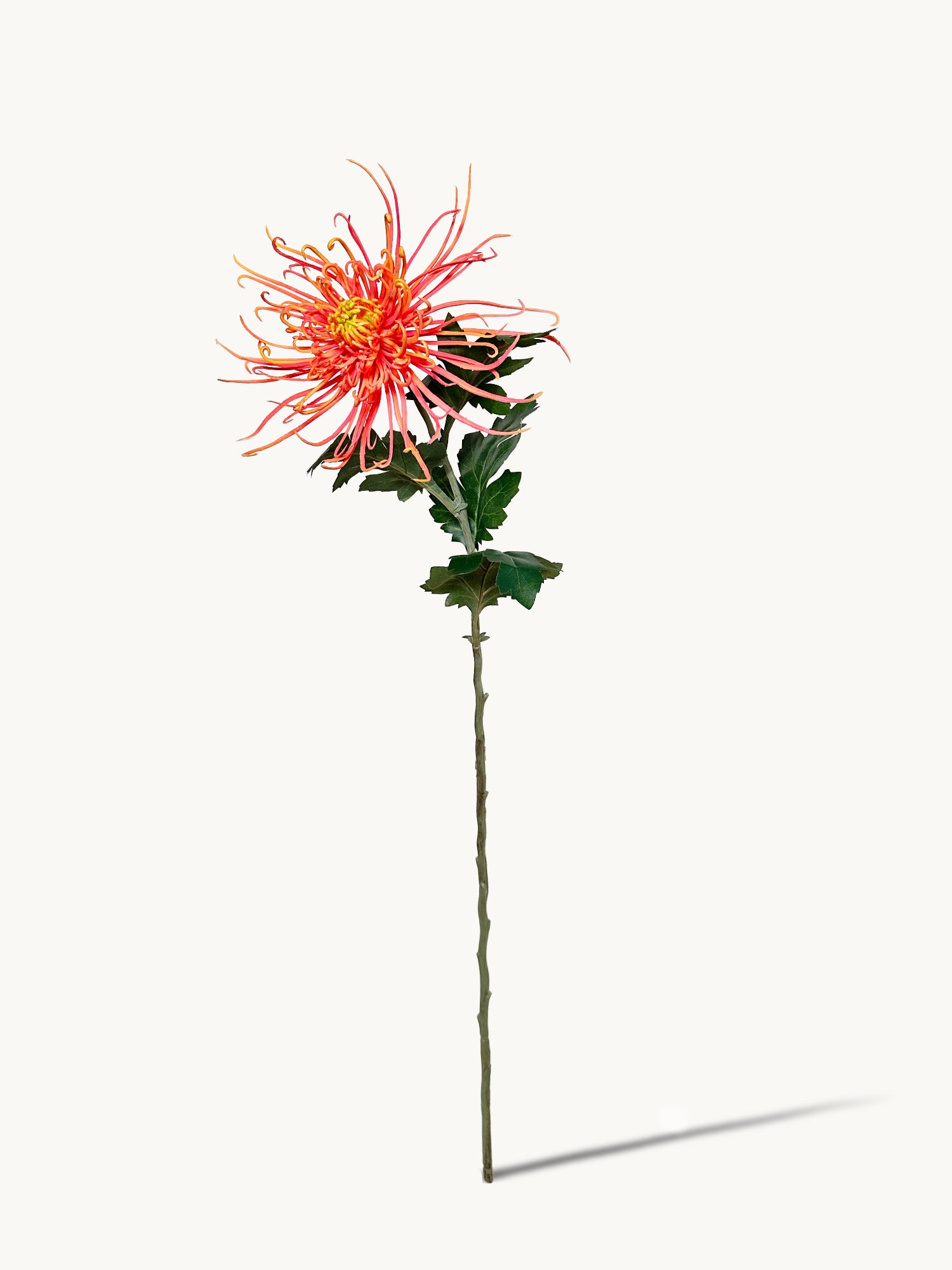 30" Realistica™ Chrysanthemum shaped like Fiery Trees - Orange