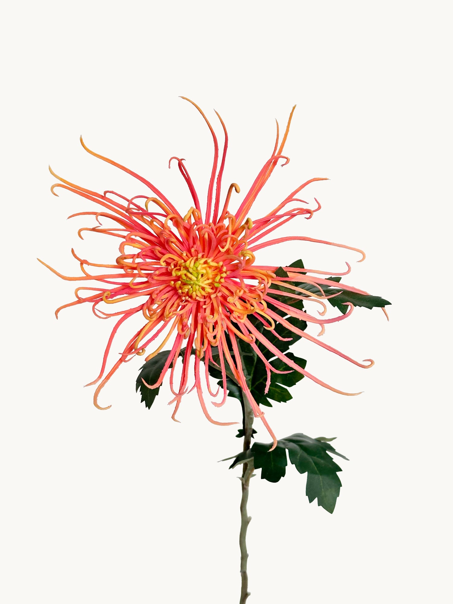 Crisantemo realista de 30" con forma de árboles ardientes - Naranja