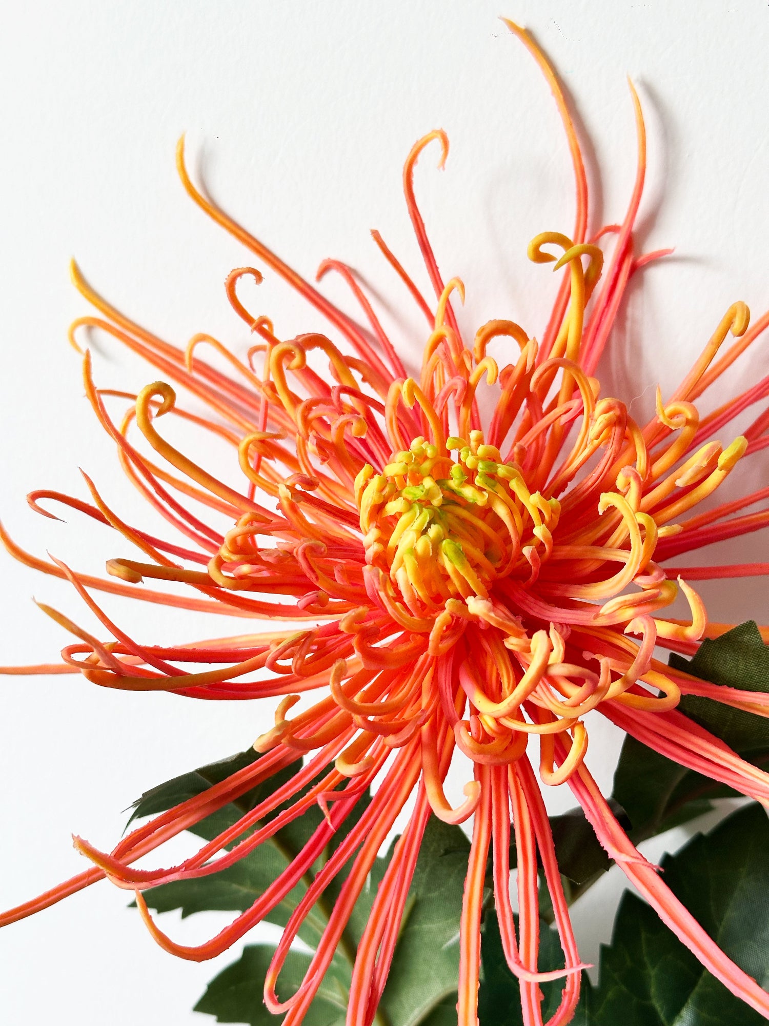 30" Realistica™ Chrysanthemum shaped like Fiery Trees - Orange